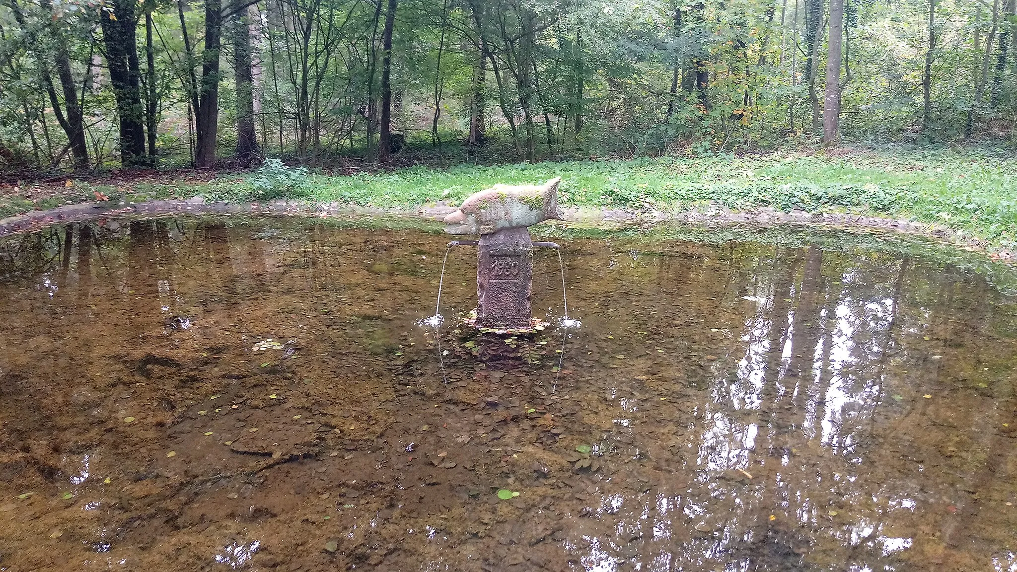 Photo showing: Teich bei der Kappelhütte mit Fischskulptur