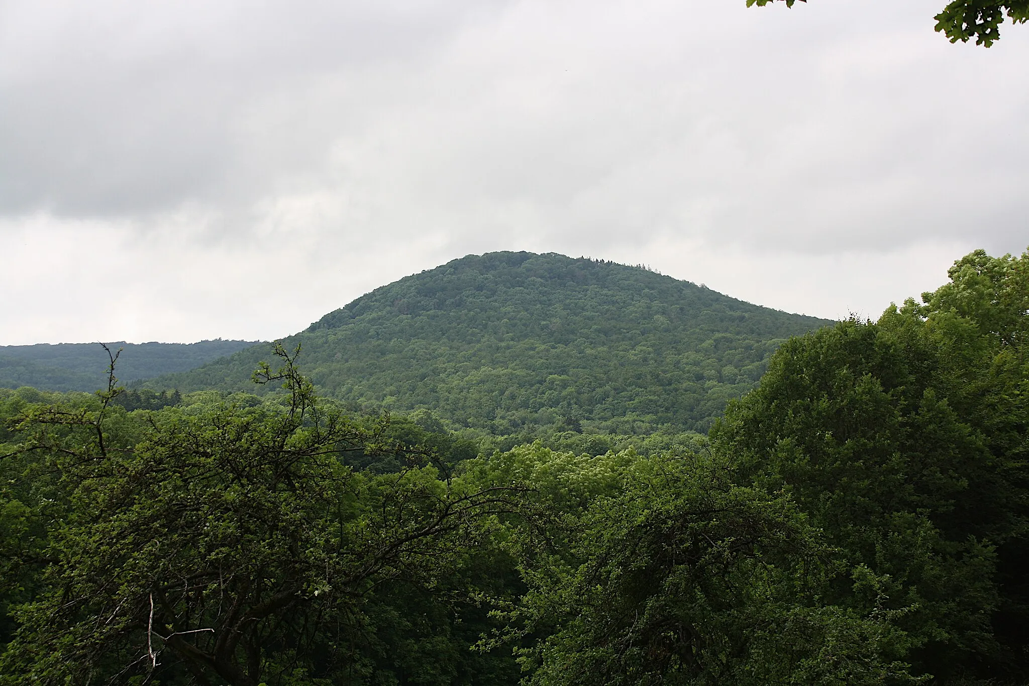 Photo showing: Blick aus dem Elsbachtal bei Oberelsbach nordwestwärts zum Gangolfsberg, Bayerische Rhön