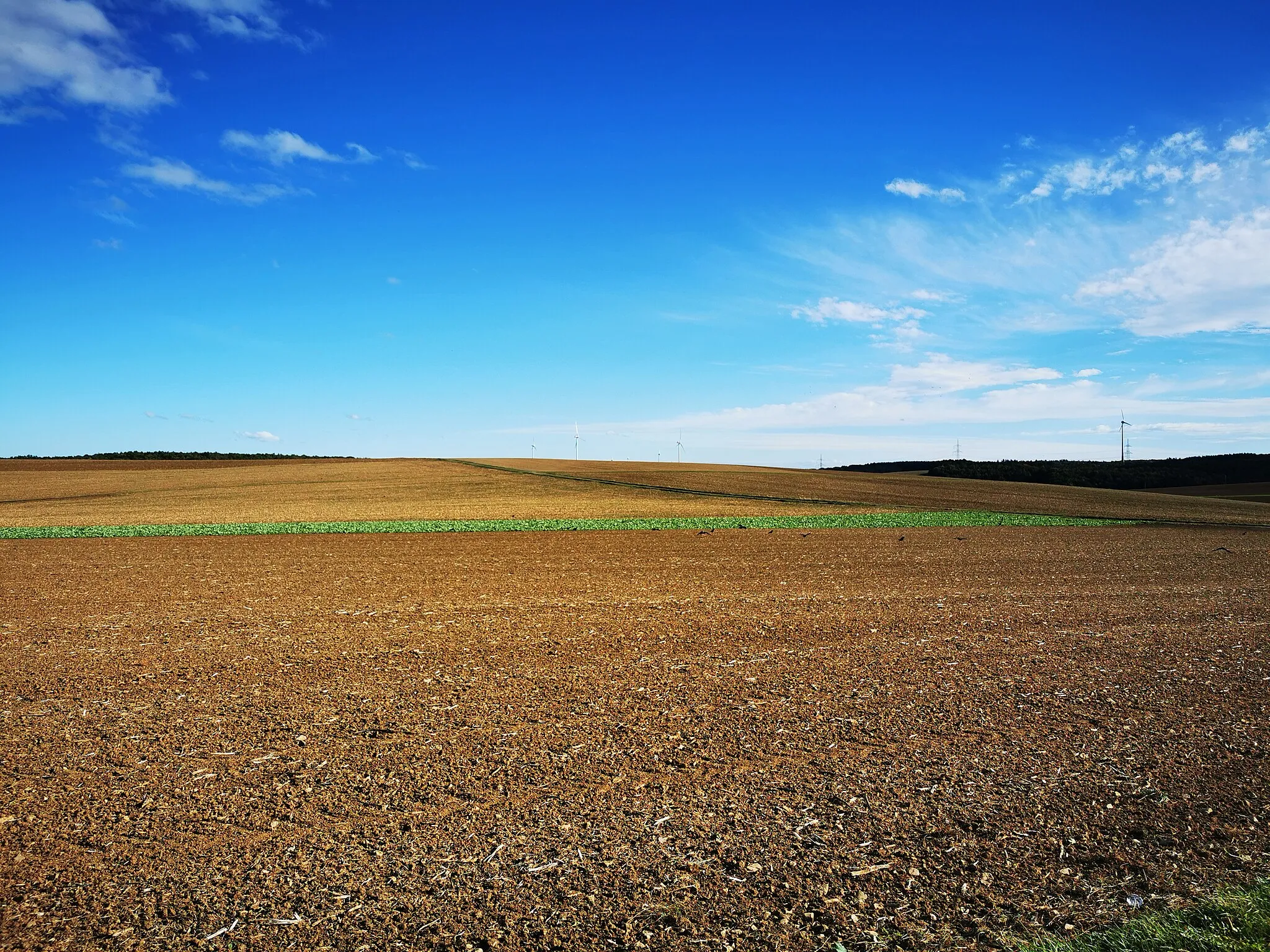 Photo showing: Uhlberg zwischen Gissigheim und Dittwar