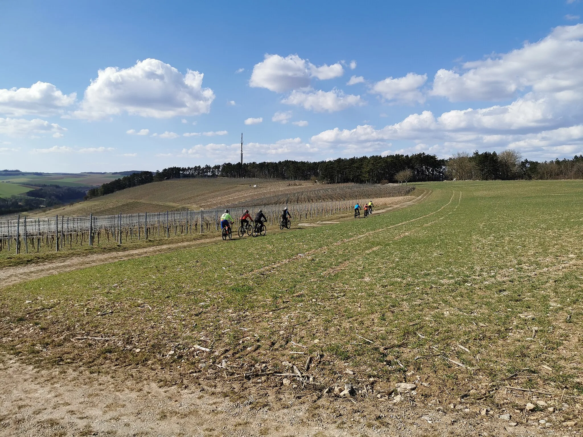Photo showing: 2022-03-19 Mountainbiketour in den Seitentälern des Mittleren Taubertals