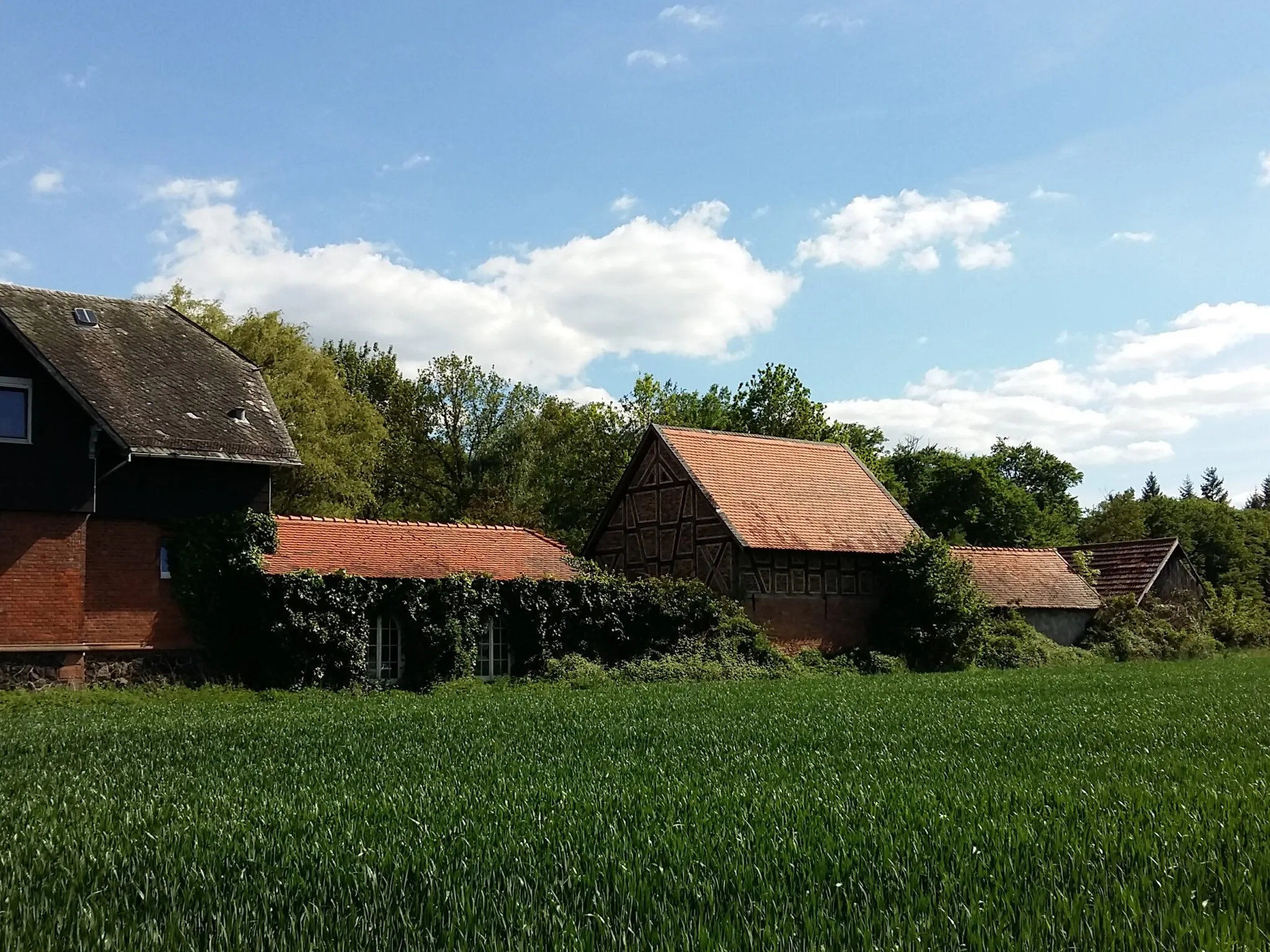 Photo showing: This is a picture of the Hessian Kulturdenkmal (cultural monument) with the ID