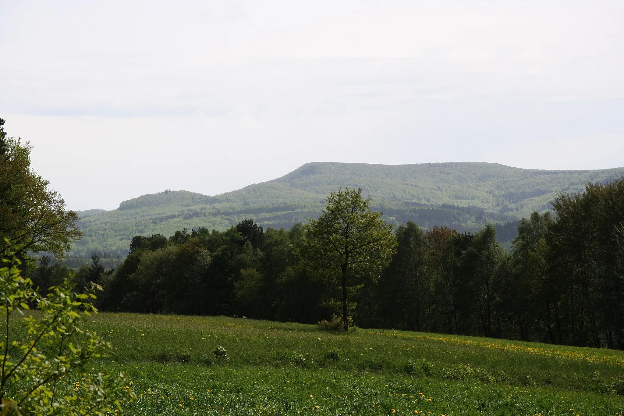 Photo showing: Blick vom Bereich des Parkplatzes Altgericht (zwischen Hettenhausen und Weyhers) südostwärts auf Bremerkopf (links) und Dammersfeldkuppe (rechts) in der Rhön