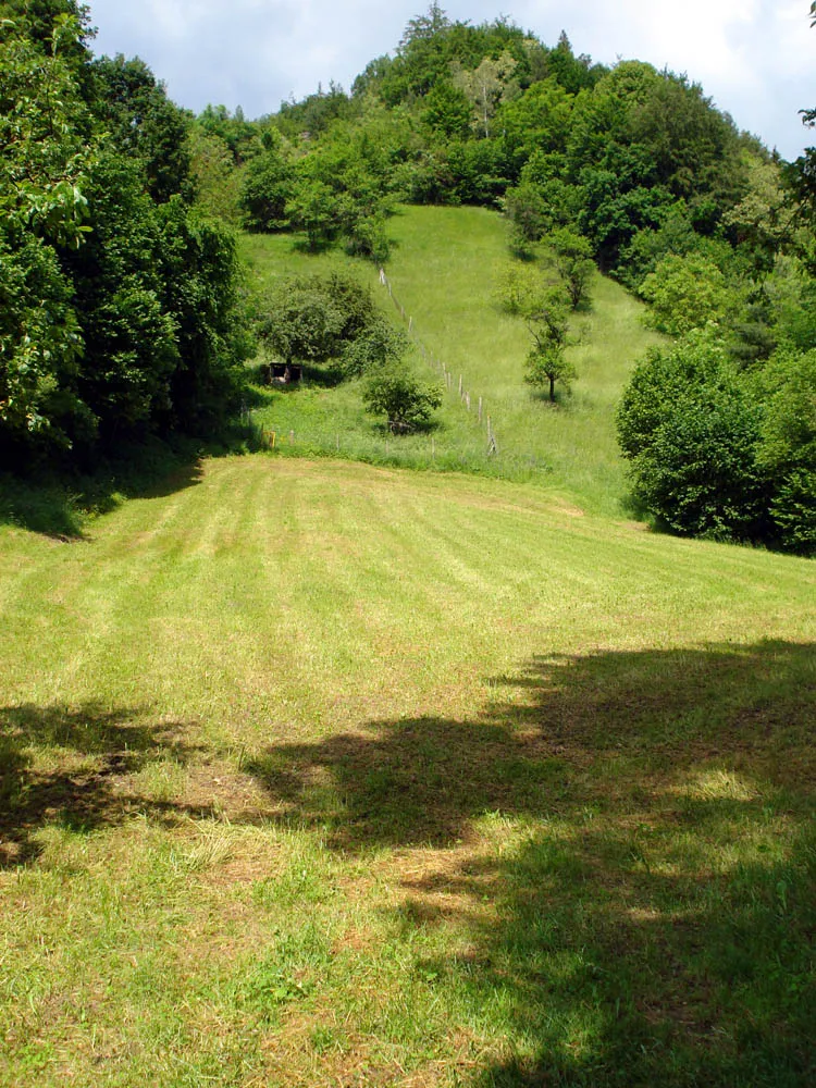 Photo showing: Böhlgrund bei Zell a. Ebersberg, Landkreis Haßberge