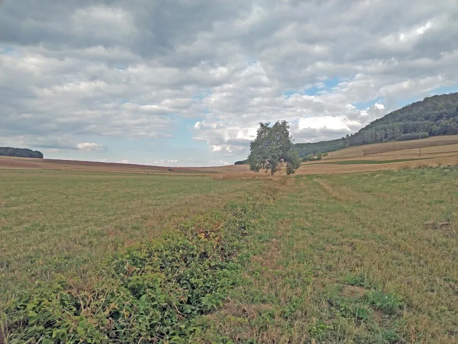 Photo showing: Ellenbach Quellgebiet Richtung Grenze nach Thüringen