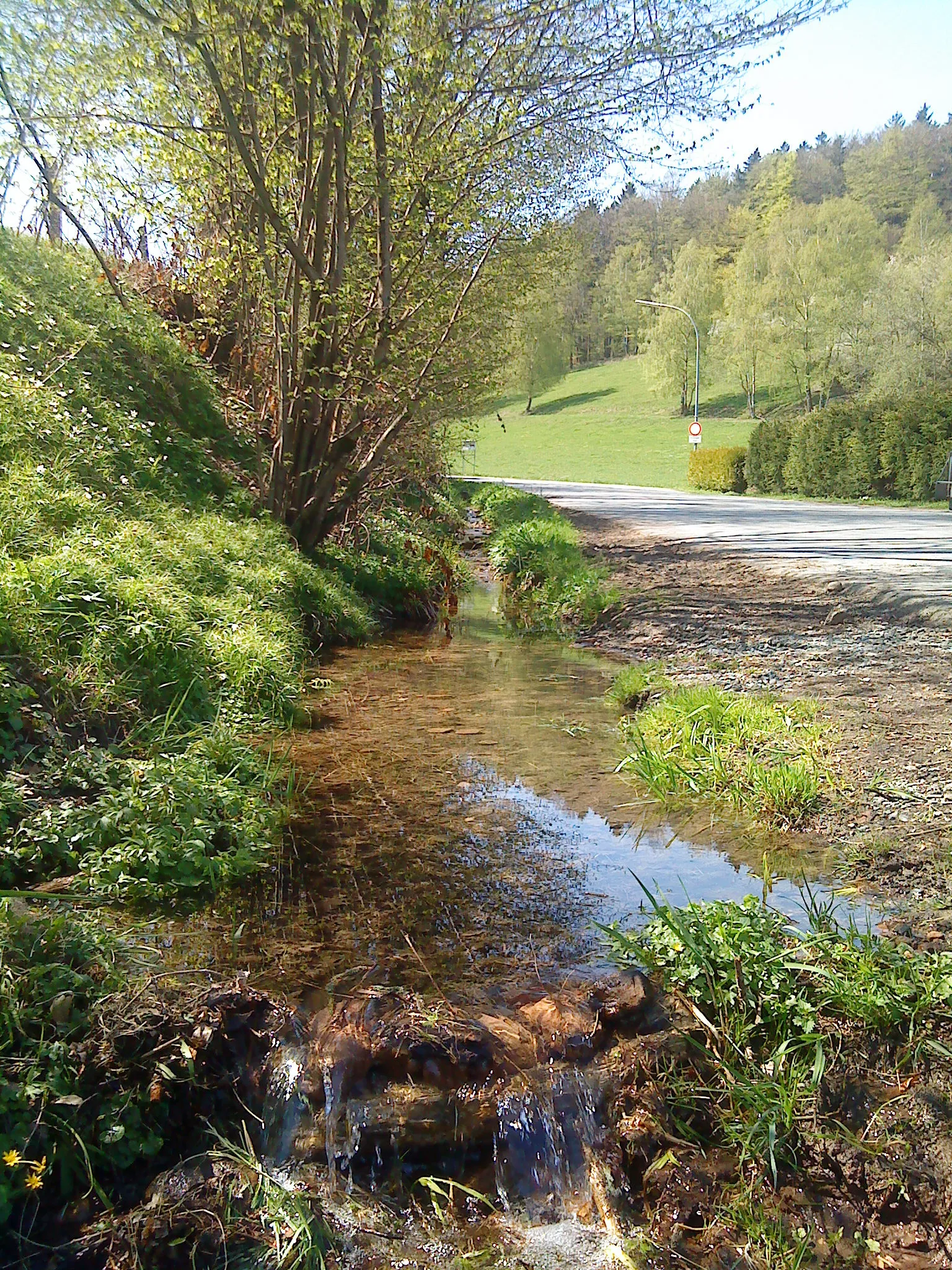 Photo showing: Das Quellgebiet des Flörsbaches (viele kleine Quellen von links) in Flörsbachtal