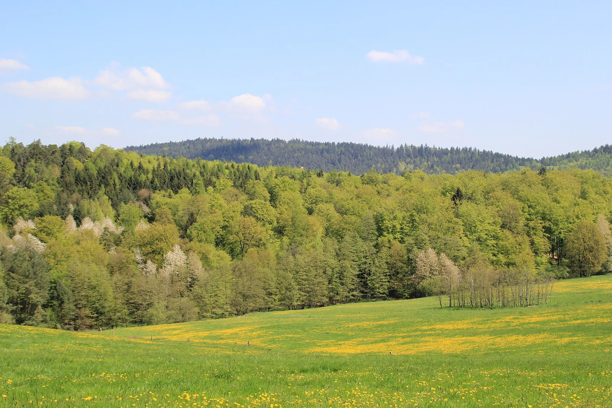 Photo showing: Der Franzosenkopf im Spessart von Geiselbach in Bayern gesehen