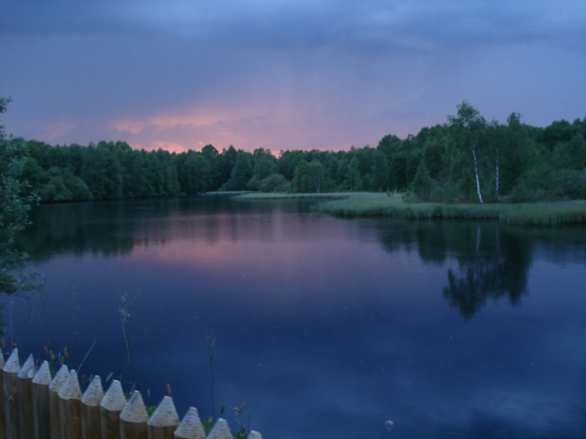 Photo showing: Der Moorweiher im Roten Moor