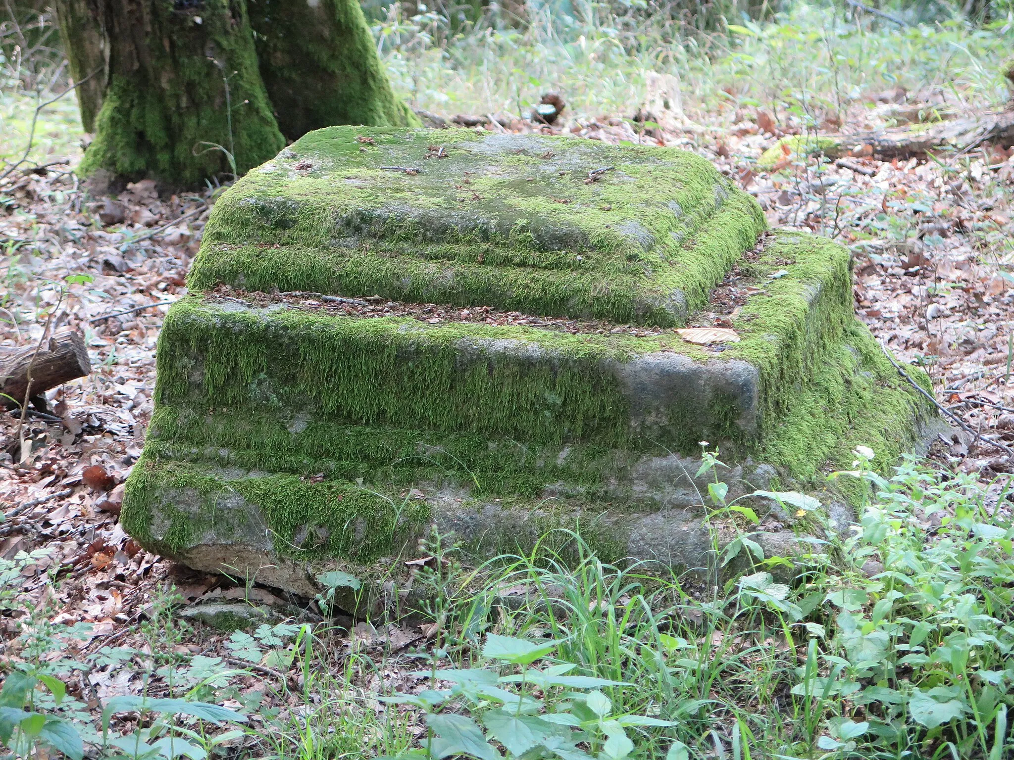 Photo showing: Kranzgesimsstück nahe der künstlichen Ruine im Landschaftspark Bettenburg