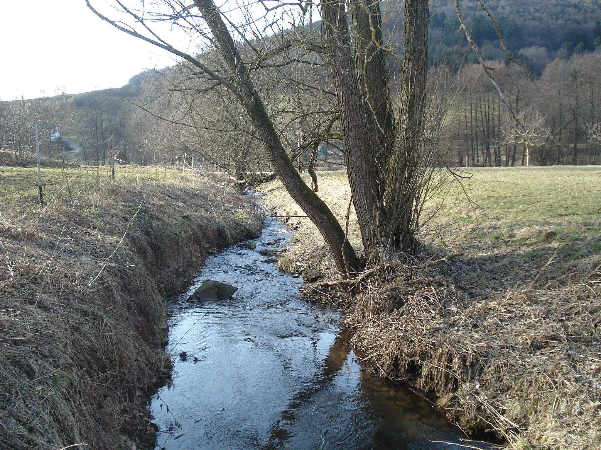 Photo showing: Der Edelbach nach dem gleichnamigen Ort Edelbach