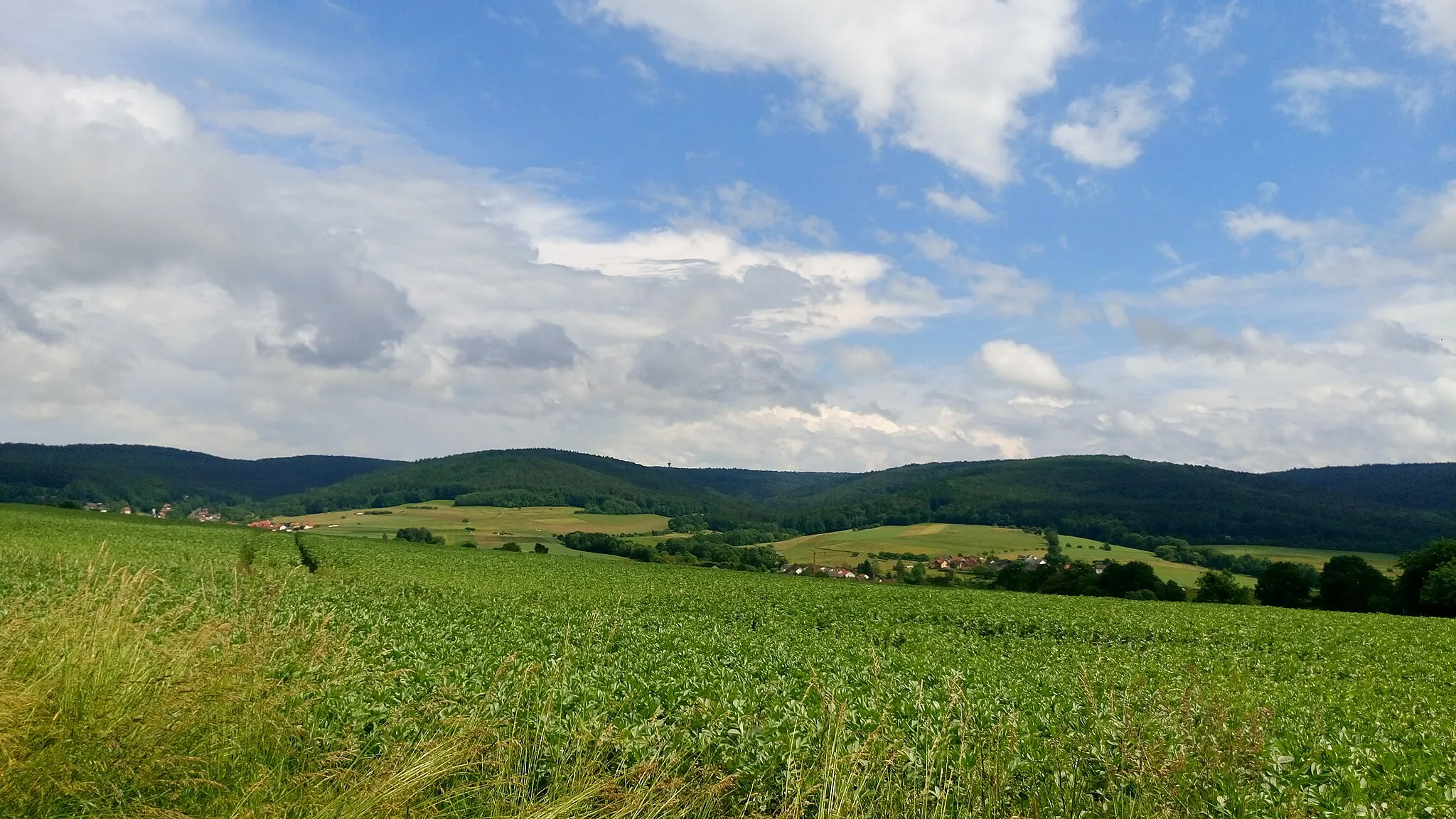 Photo showing: Die Eselshöhe vom oberen Kahlgrund gesehen