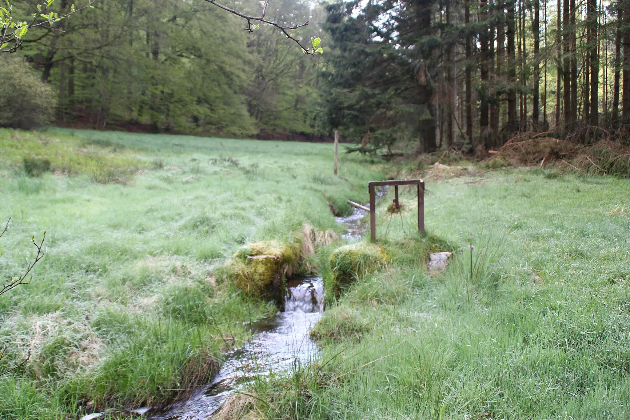 Photo showing: Der Edelbach unterhalb seiner Quelle bei Edelbach im Landkreis Aschaffenburg, Bayern