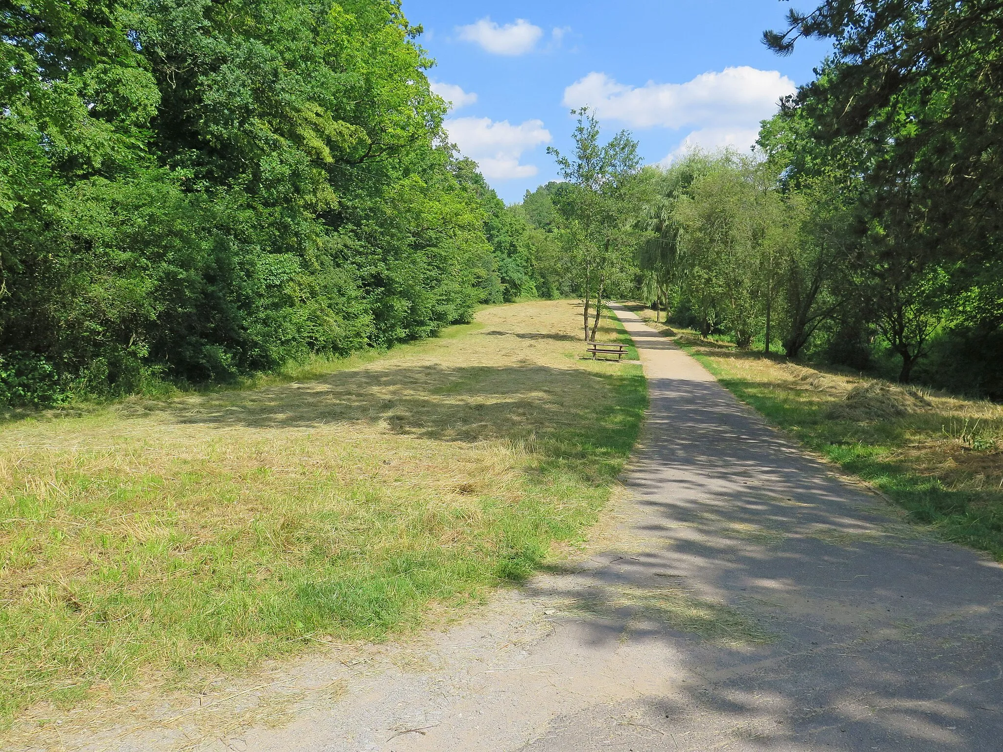 Photo showing: Weg im Höllental im Bereich des Landschaftsschutzgebiets Mainleite (Schweinfurt)