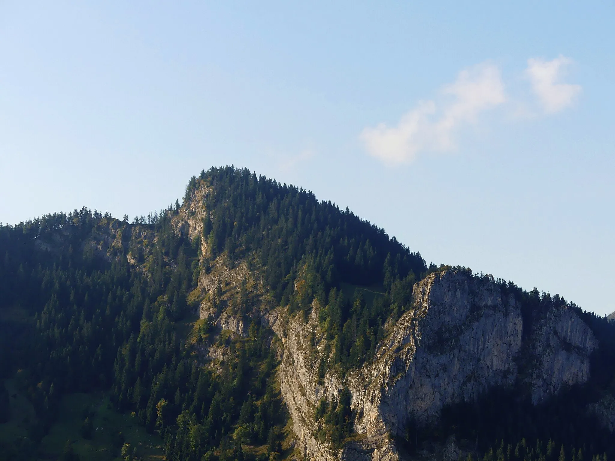 Photo showing: Blick von der Parzelle Sattlergschwend auf die Südseite des Bocksberg