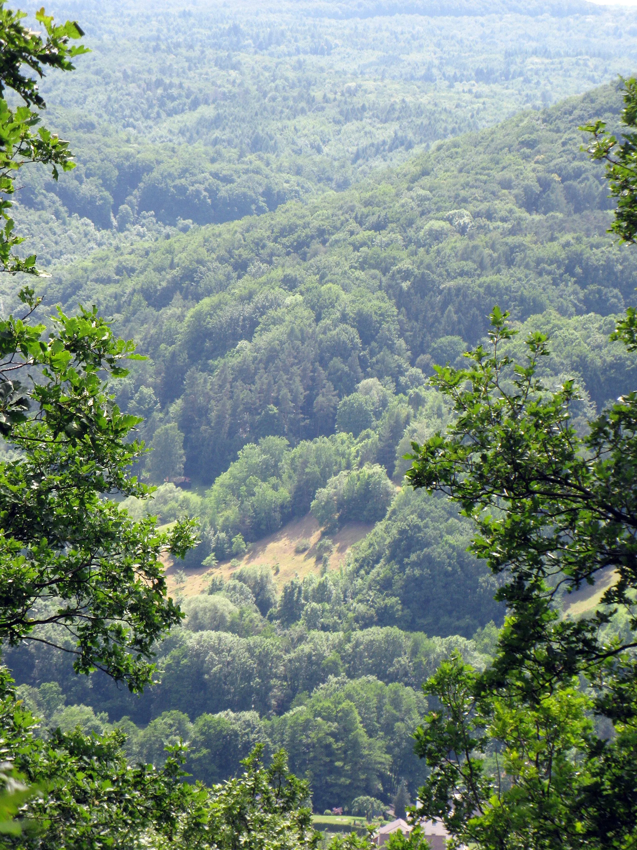 Photo showing: FFH-Gebiet "Buchenwälder und Wiesentäler des Nordsteigerwalds"