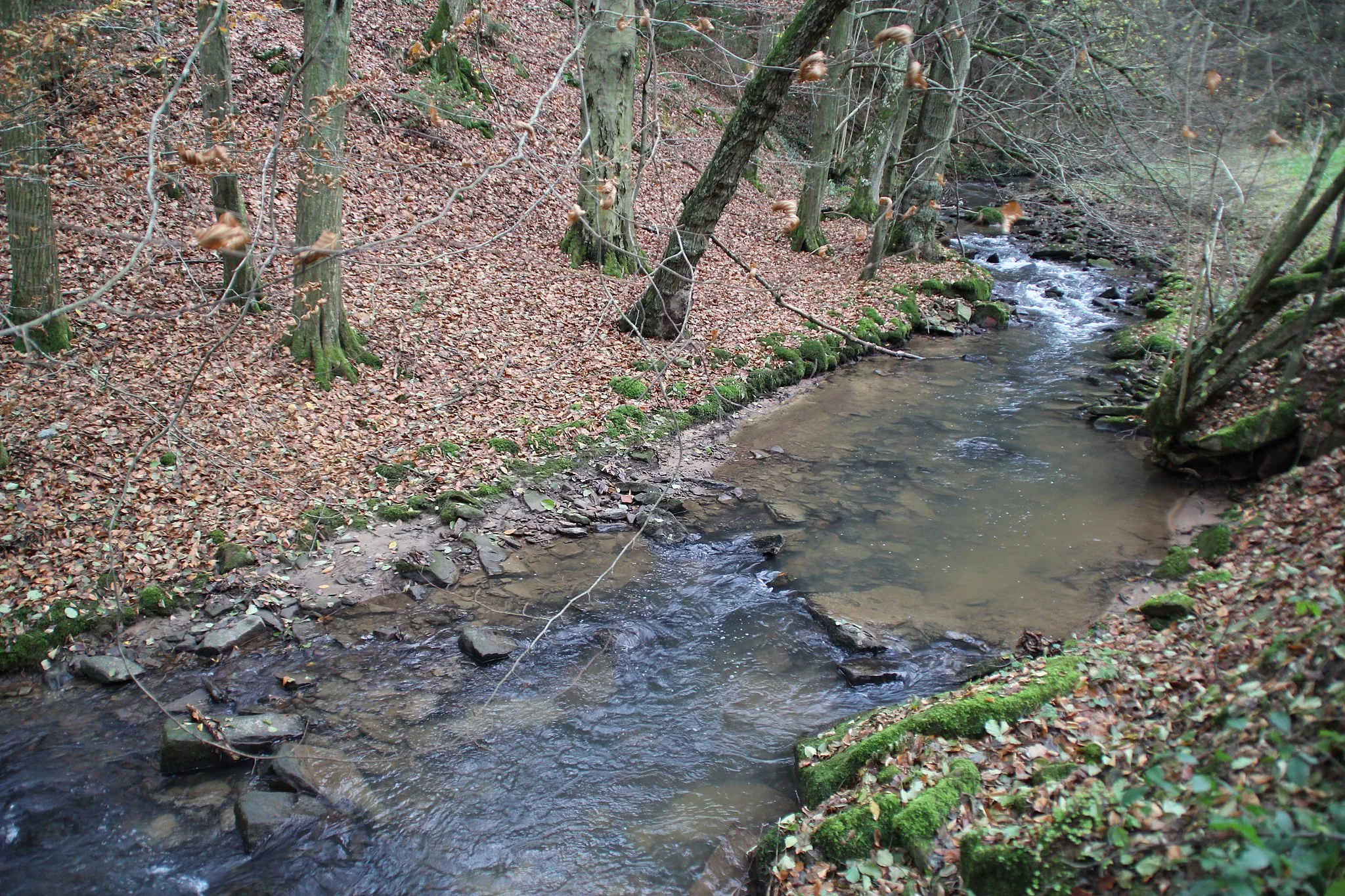 Photo showing: Der Brombach bei Zell im Odenwald