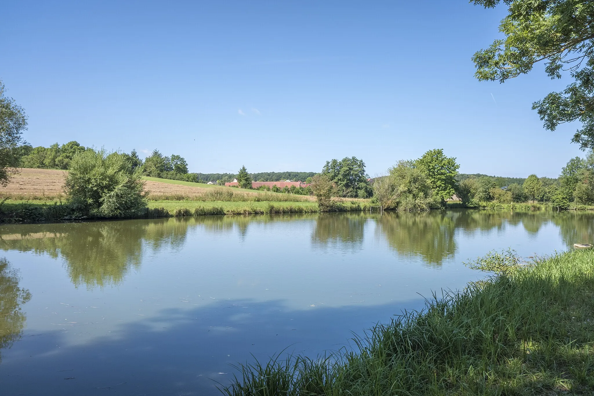 Photo showing: Weiher am Dürrbach östlich von Steinsfeld