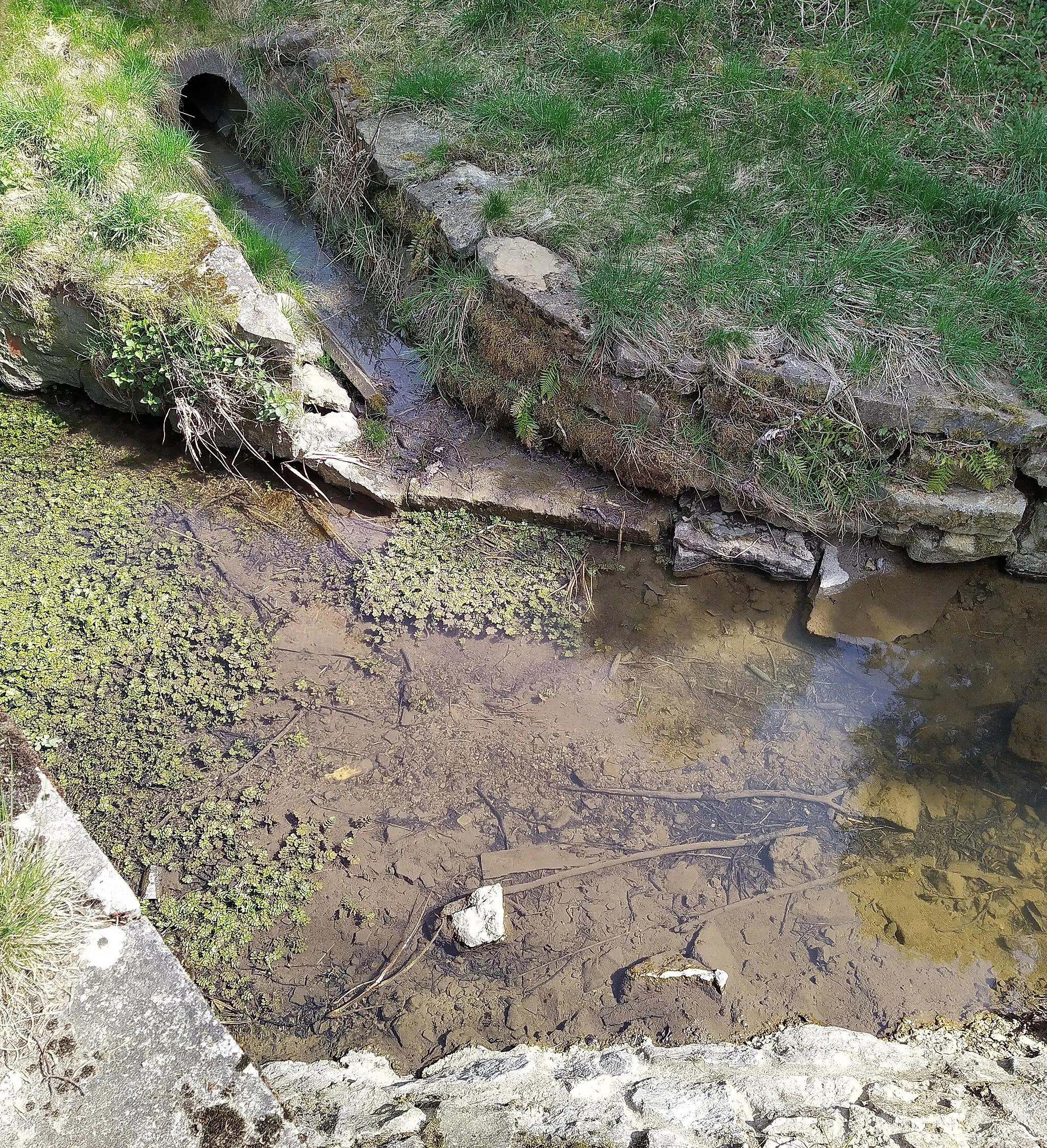 Photo showing: The stream Wässernach in Rednershof. It flows from left to right through the picture. The outlet at the top of the picture is from a nearby lake.