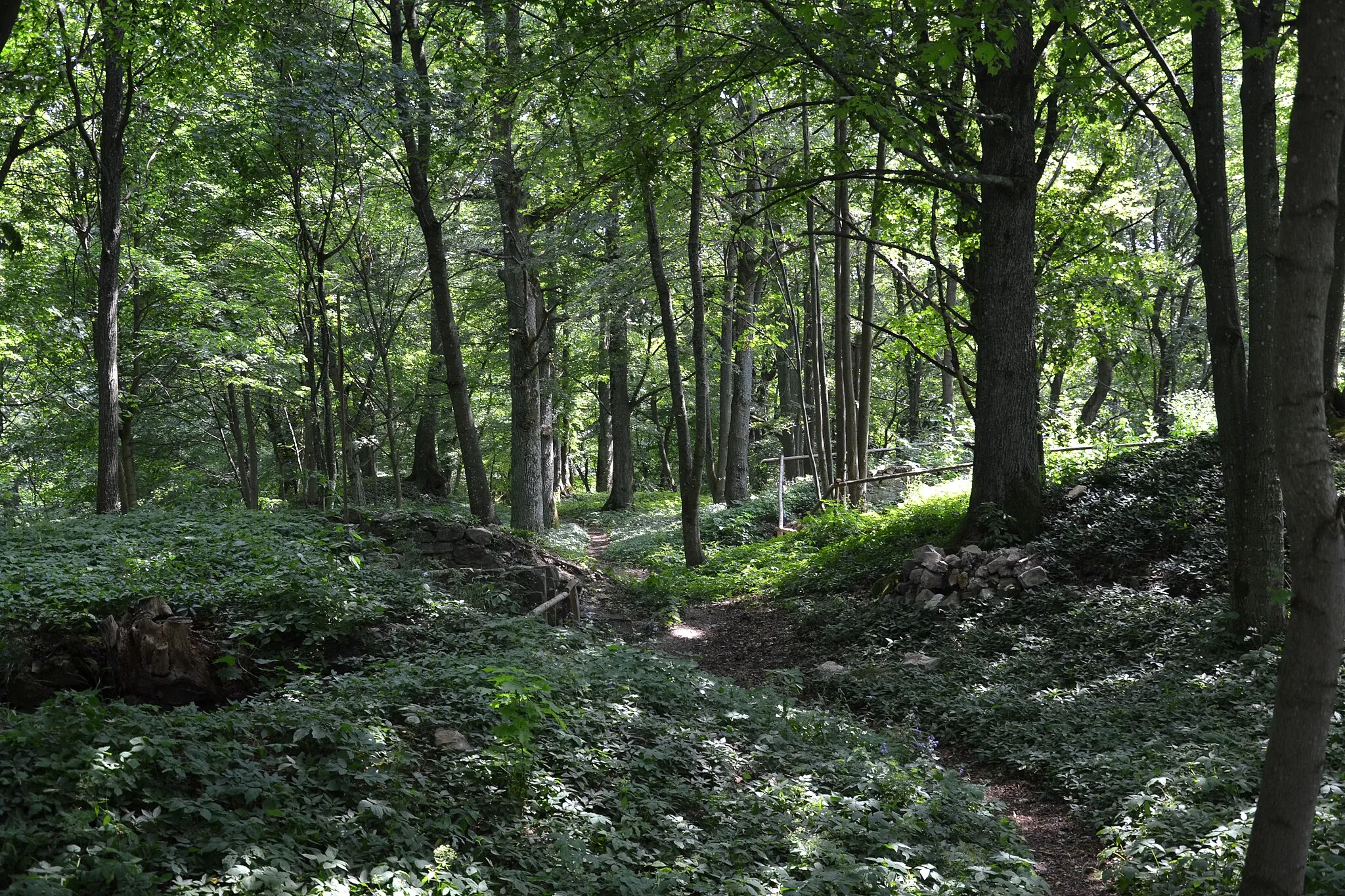 Photo showing: Ruins of castle Wildberg in Landkreis Rhön-Grabfeld