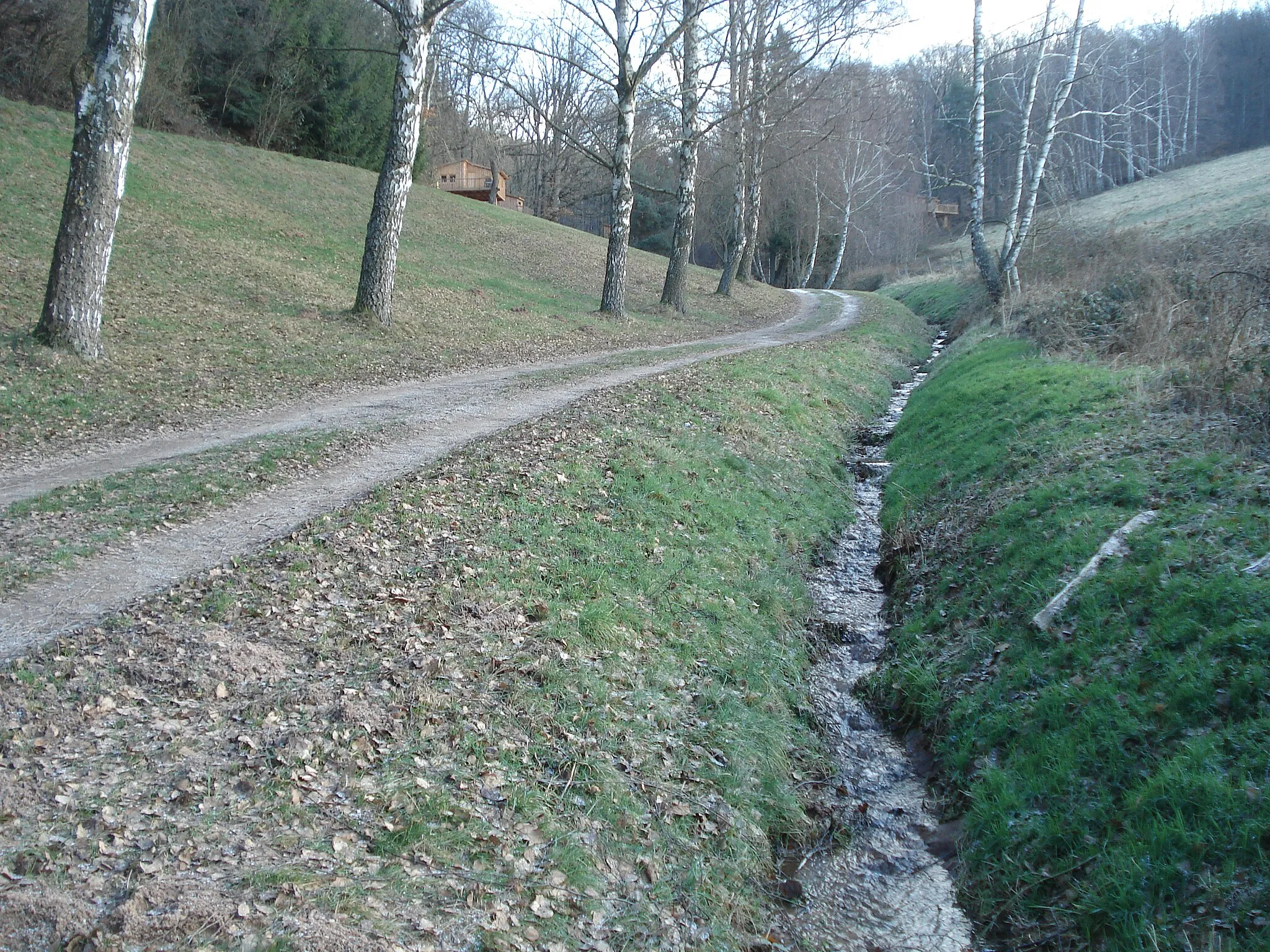 Photo showing: Der Brunnenweggraben östlich von Mönchberg