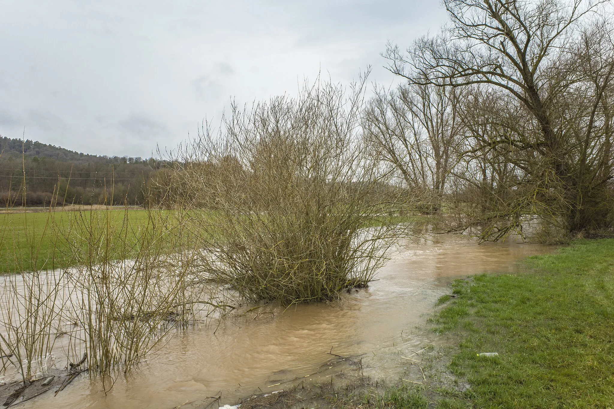 Photo showing: Hochwasser der Baunach, März 2023, zwischen Rentweinsdorf und Lind
