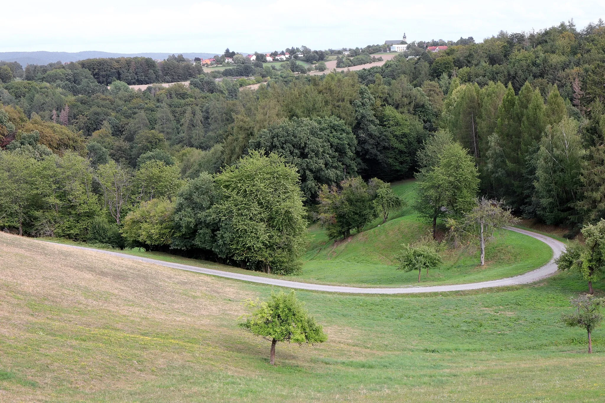 Photo showing: Johannesberg, biotopes 5920-0131 "Streuobstwiesen und Extensivgrünland östlich der Achse Rückersbach-Sternberg" in  LSG-00561.01 "LSG innerhalb des Naturparks Spessart (ehemals Schutzzone)"