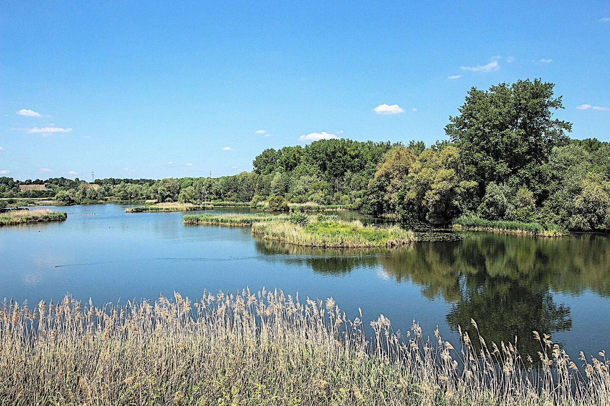 Photo showing: Blick auf die Seen des Vogelschutzgebietes Garstadt bei Röthlein - Heidenfeld. Der Teil des Sees am rechten Rand gehört bereits zum Naturschutzgebiet "Erweiterung des Vogelschutzgebietes Garstadt".