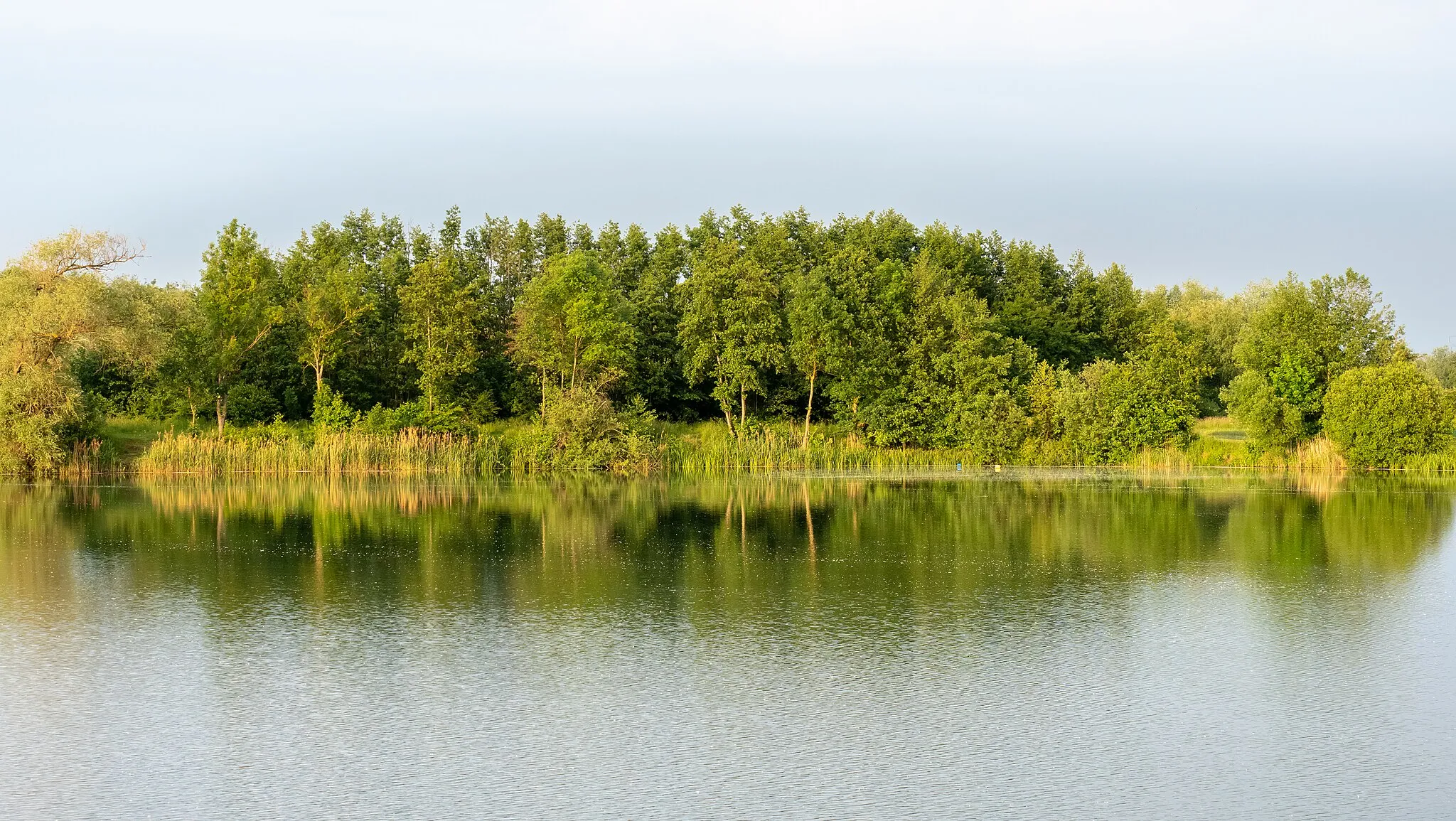Photo showing: View of the extended Garstadt bird sanctuary