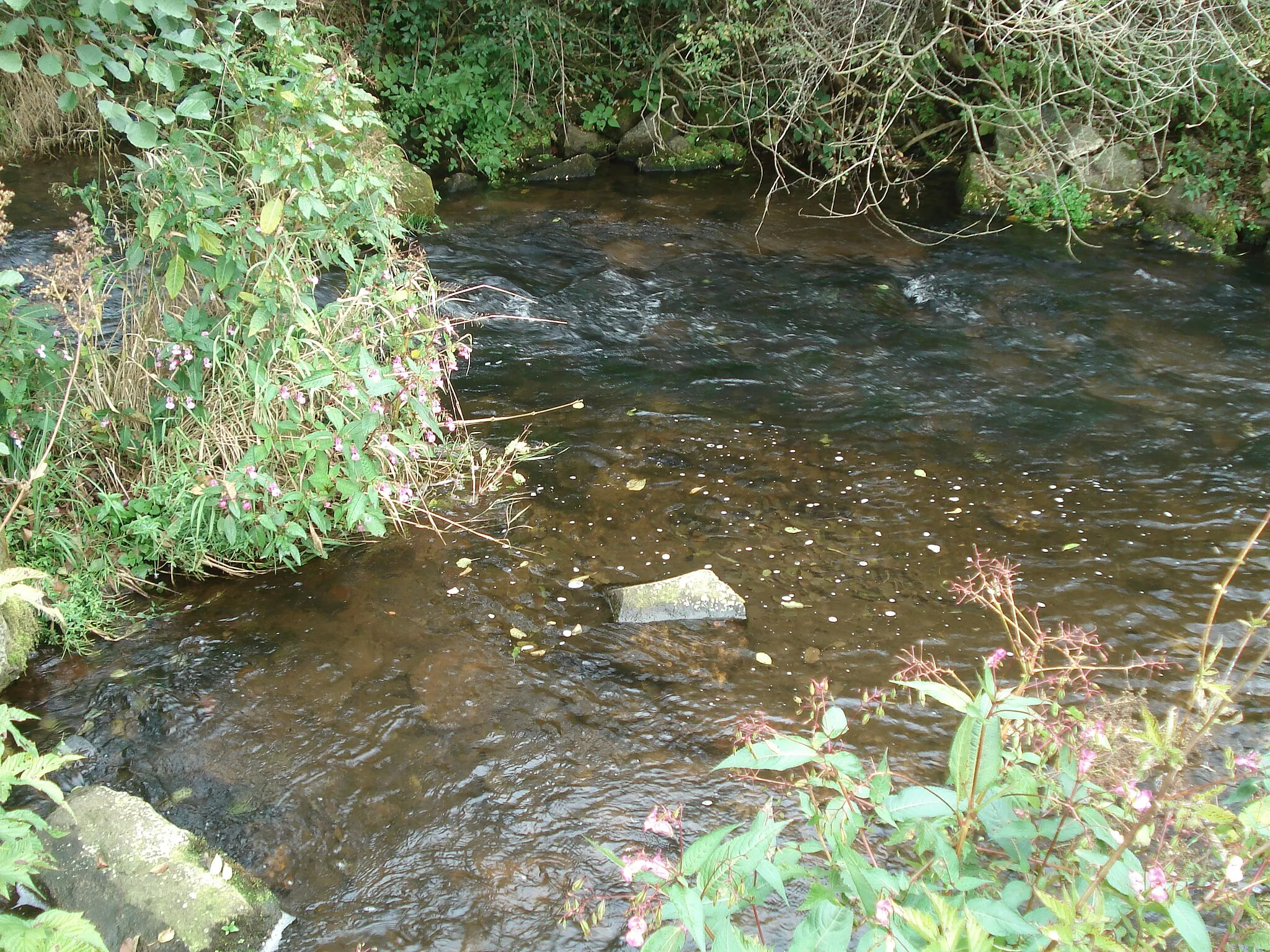 Photo showing: Der Gabelbach (hinten links) mündet in die Mud (von vorne links nach rechts)