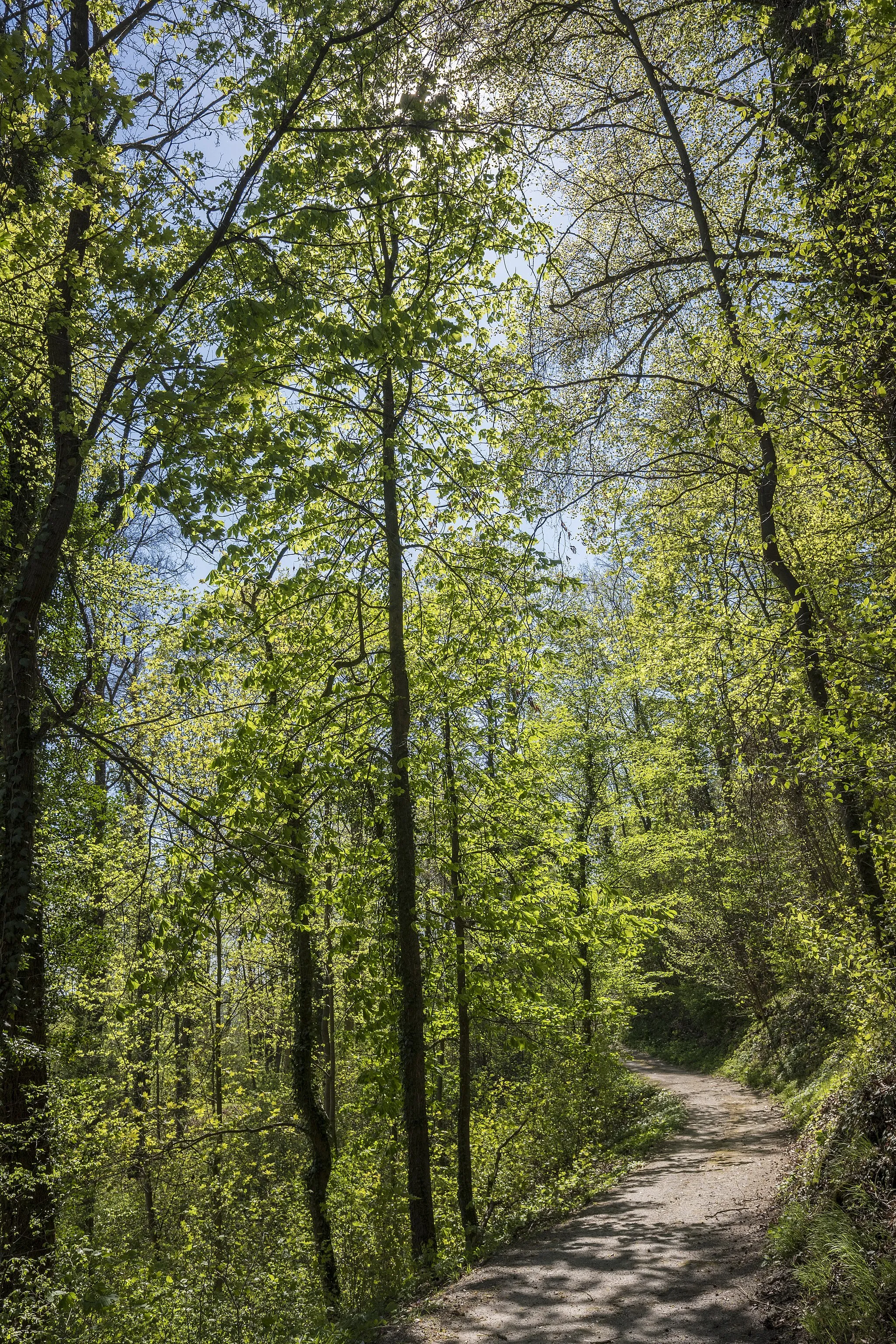 Photo showing: LSG "Bayerische Rhön"