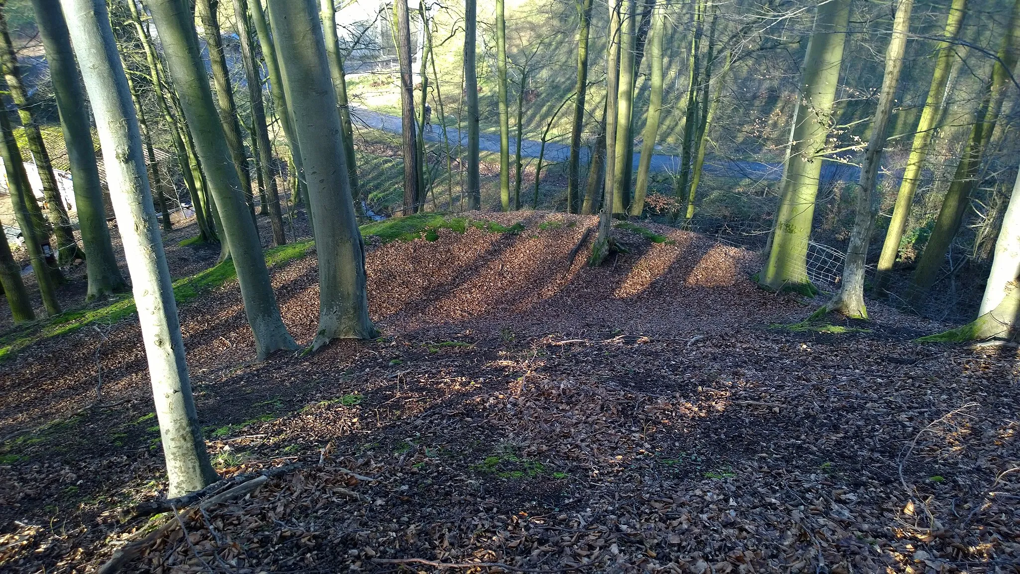 Photo showing: Burgstall Wahlmich Waldaschaff am Spessartrand; Blick von der Vorburg zum Zwinger und verstürztem Wall