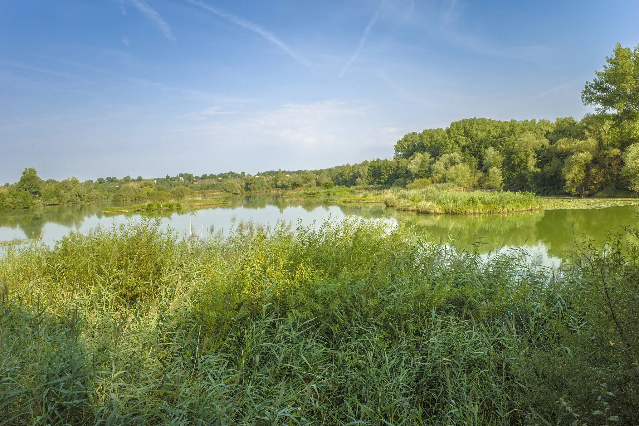 Photo showing: Bananensee im Naturschutzgebiet "Vogelschutzgebiet Garstadt"