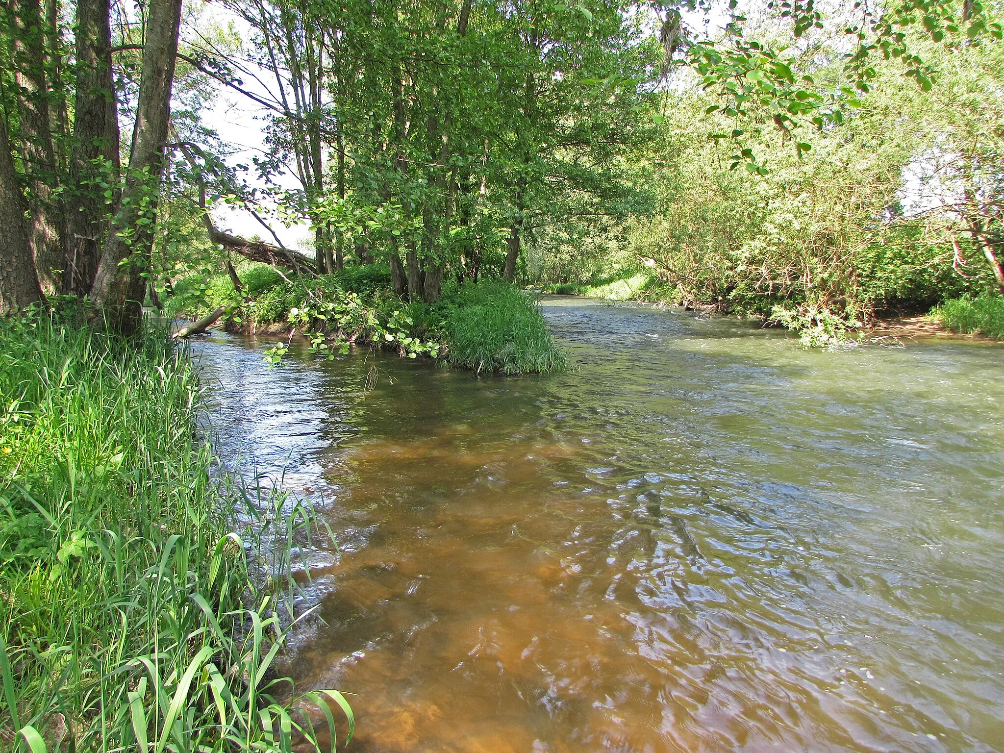 Photo showing: Mündung des Flüsschens Premich in die Fränkische Saale