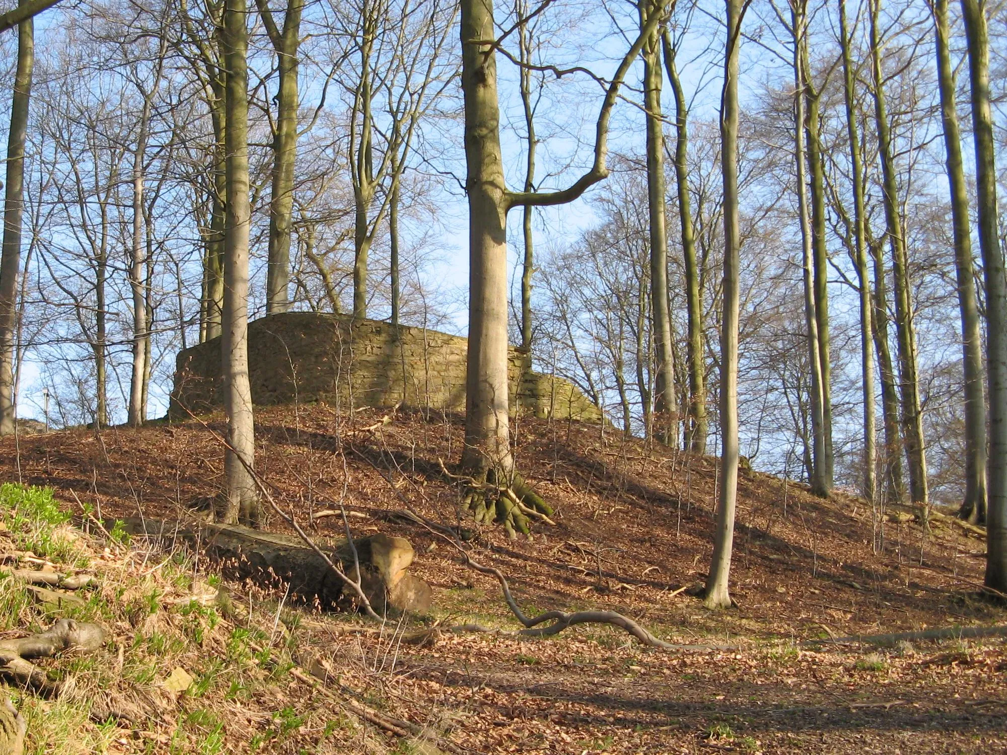 Photo showing: Burgruine Rodenberg auf dem "Alten Turm" (Hausberg) nördlich von Rotenburg an der Fulda