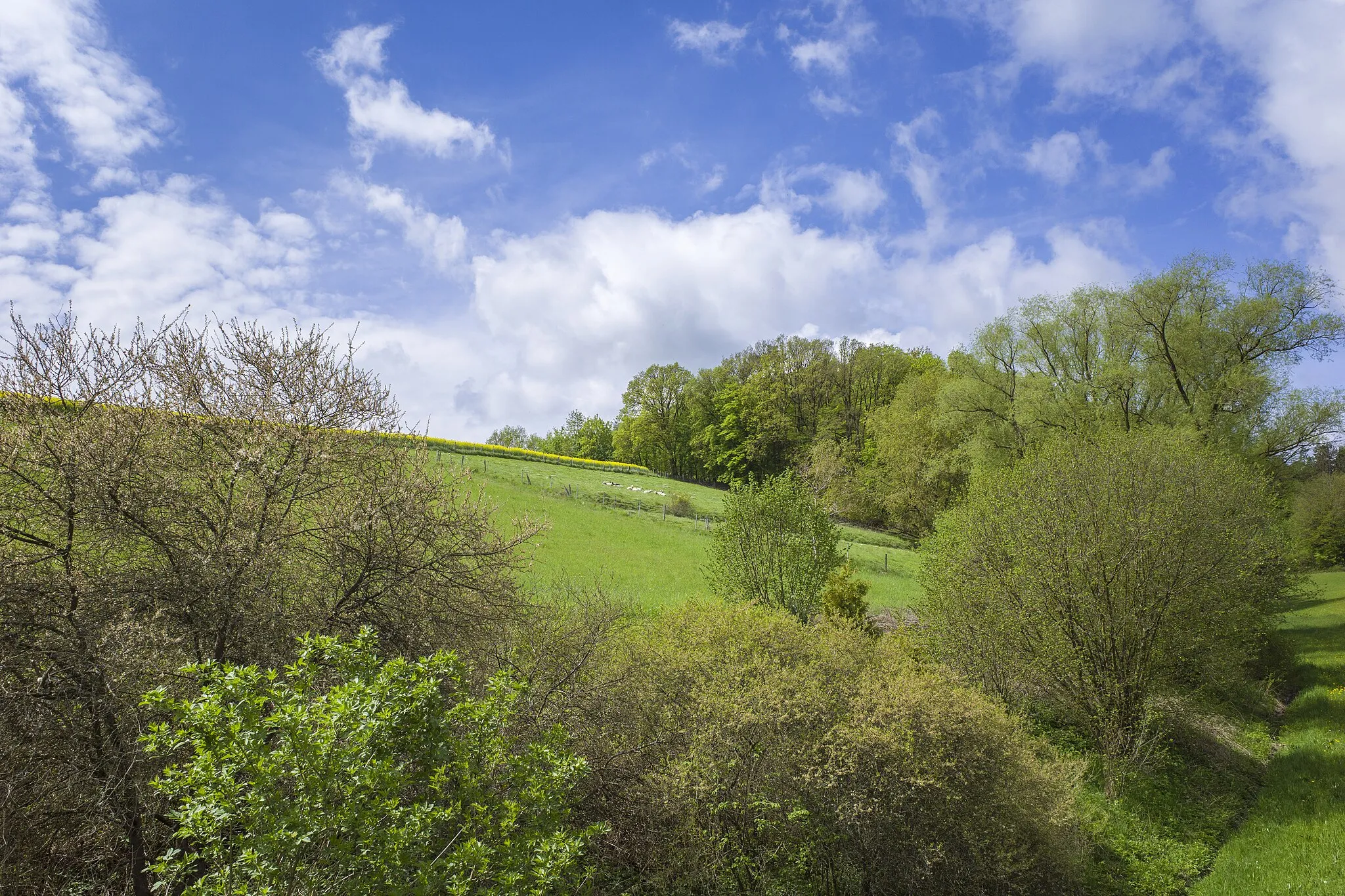 Photo showing: LSG innerhalb des Naturparks Hassberge (ehemals Schutzzone)