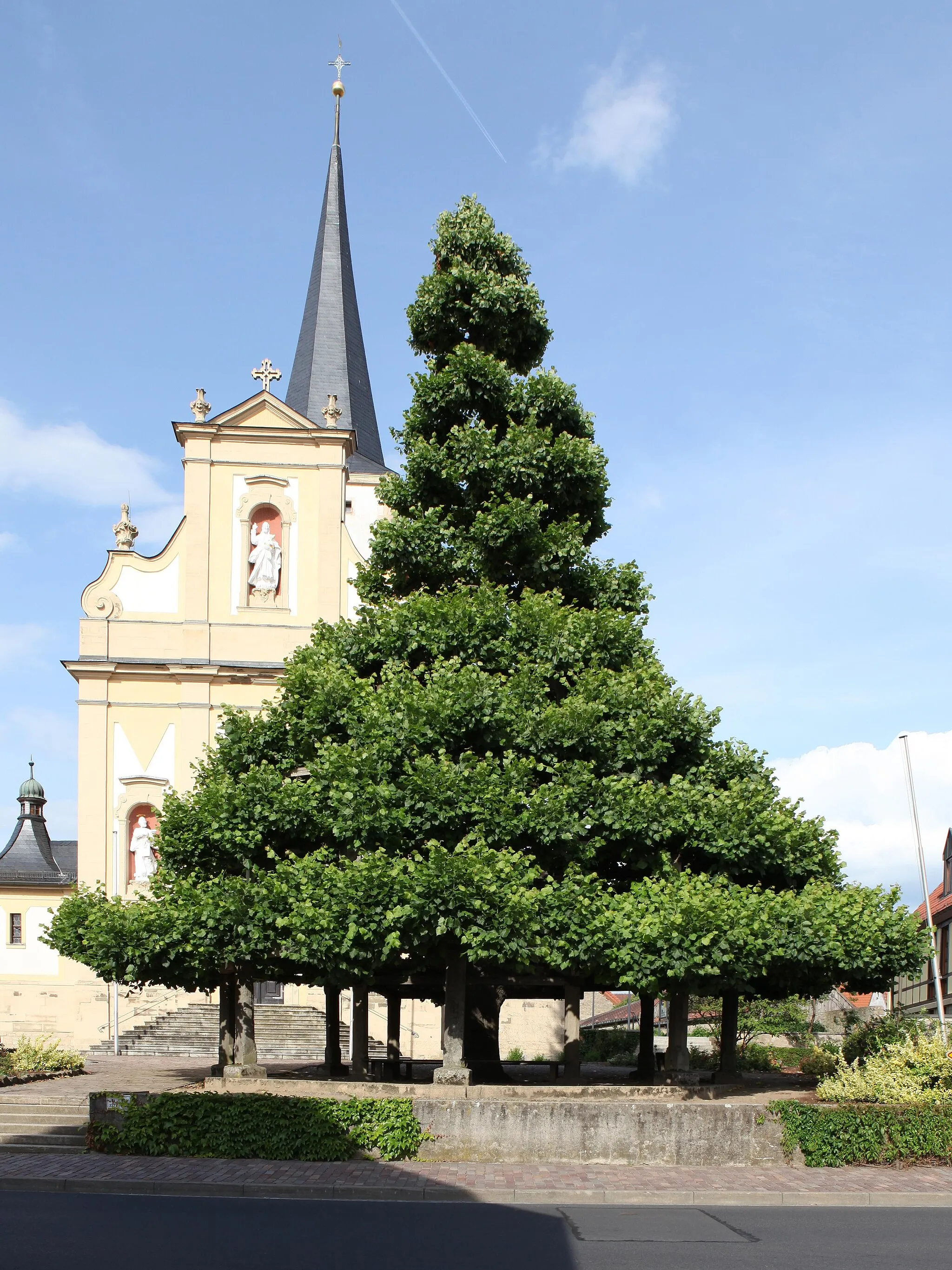 Photo showing: Stufenlinde in Grettstadt, Landkreis Schweinfurt