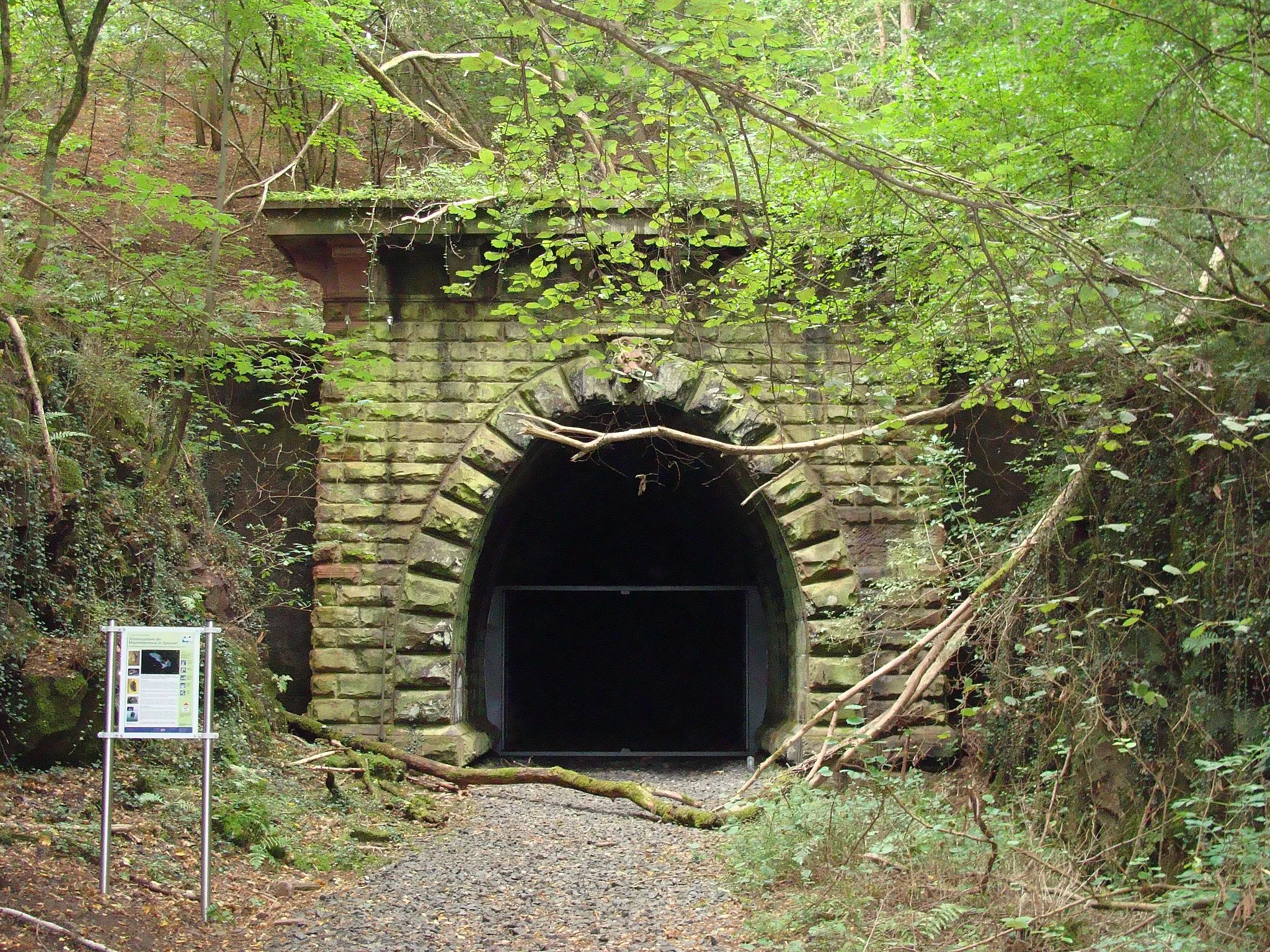 Photo showing: Bettingbergtunnel - Osteingang (ehemalige Bahnstrecke Lohr–Wertheim)