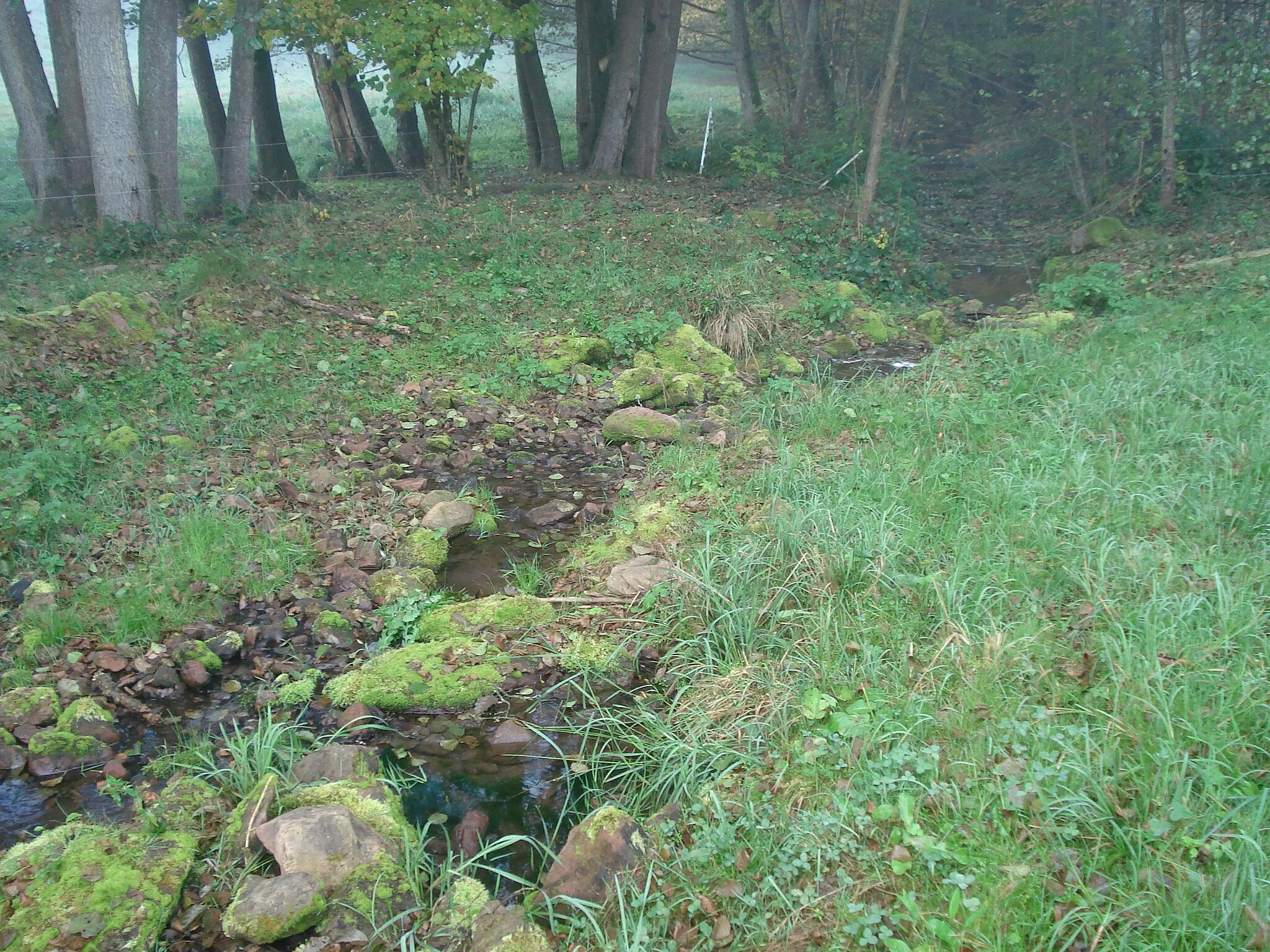 Photo showing: Der Reichartshauser Bach vor seiner Mündung in den Weilbach