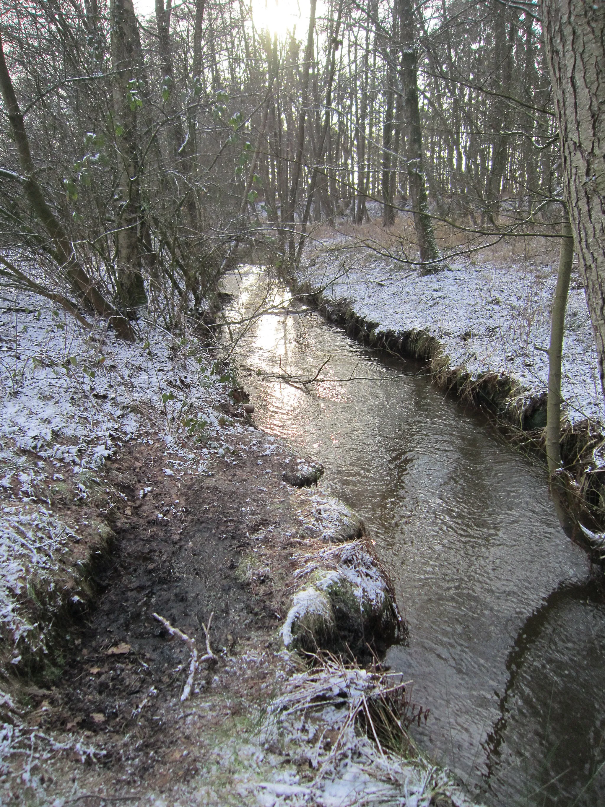 Photo showing: Die Lethe, ein linker Nebenfluss der Hunte, bildet die Kreisgrenze zwischen Bissel (Gemeinde Großenkneten im Landkreis Oldenburg) und Beverbruch (Gemeinde Garrel im Landkreis Cloppenburg) in Niedersachsen. Die gezeigte Stelle liegt wenige Meter unterhalb des Schafstalls Bissel-Lethe.