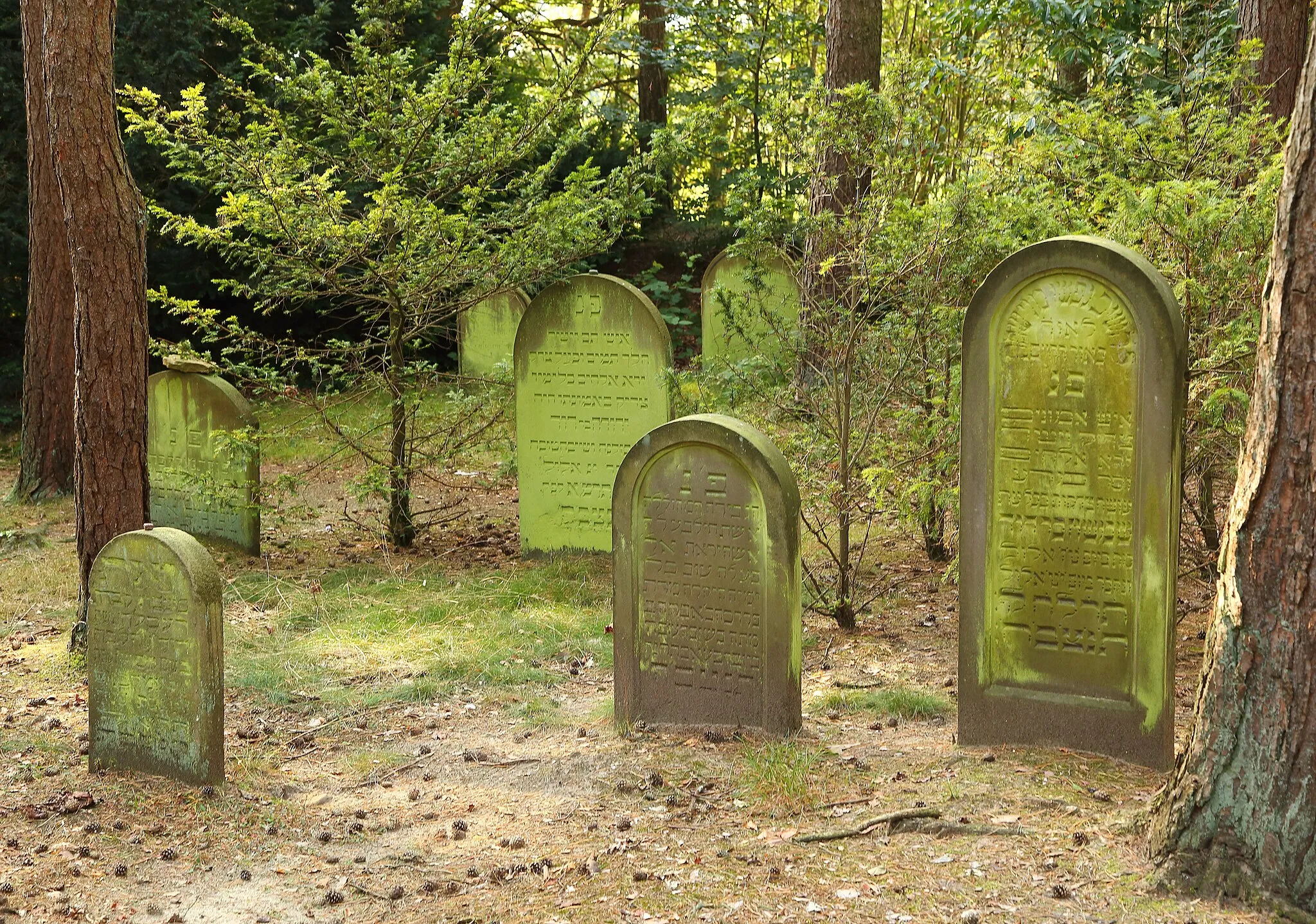 Photo showing: Jewish Cemetery in Westerkappeln, Kreis Steinfurt, North Rhine-Westphalia, Germany.