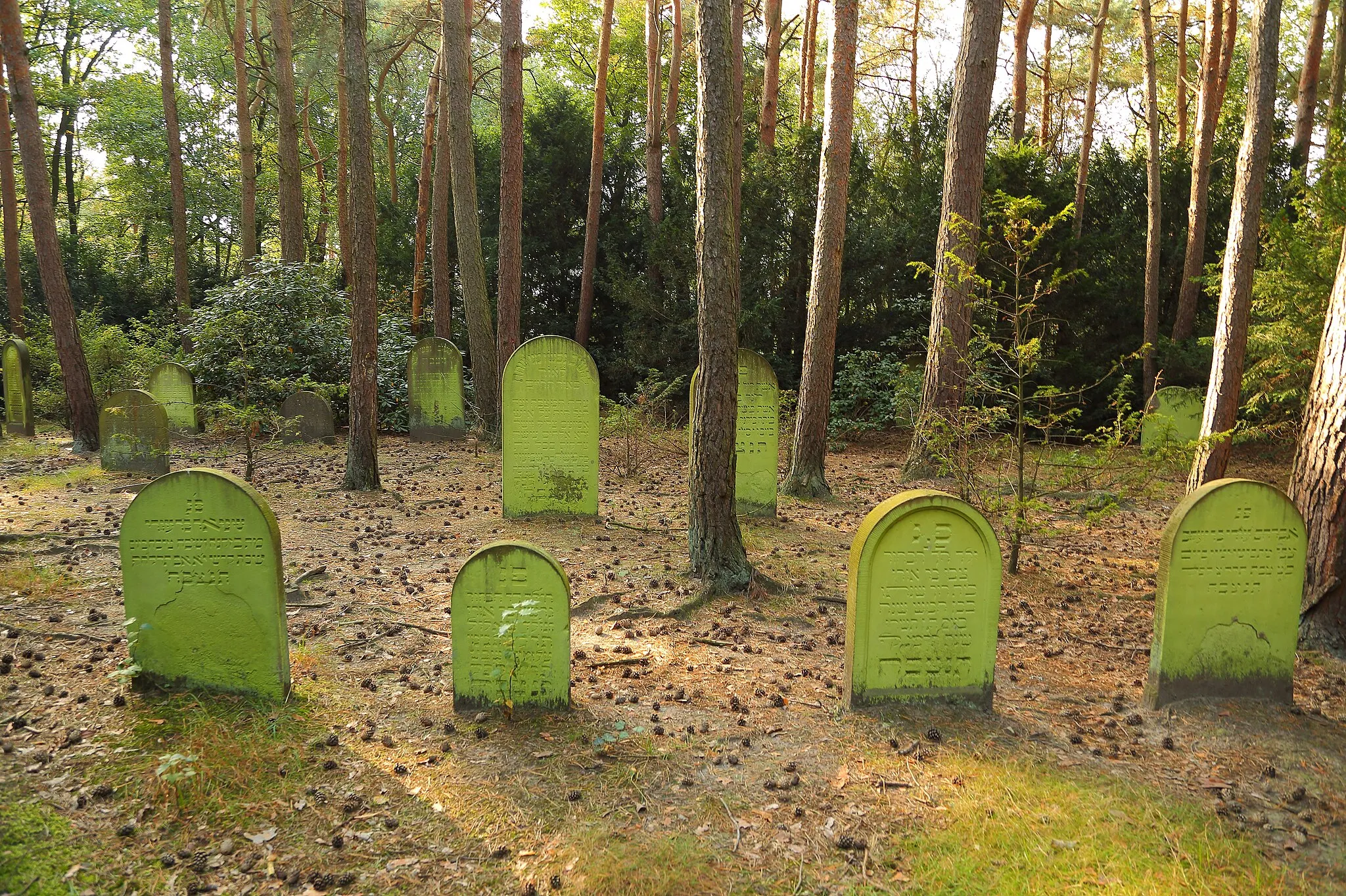 Photo showing: Jewish Cemetery in Westerkappeln, Kreis Steinfurt, North Rhine-Westphalia, Germany.