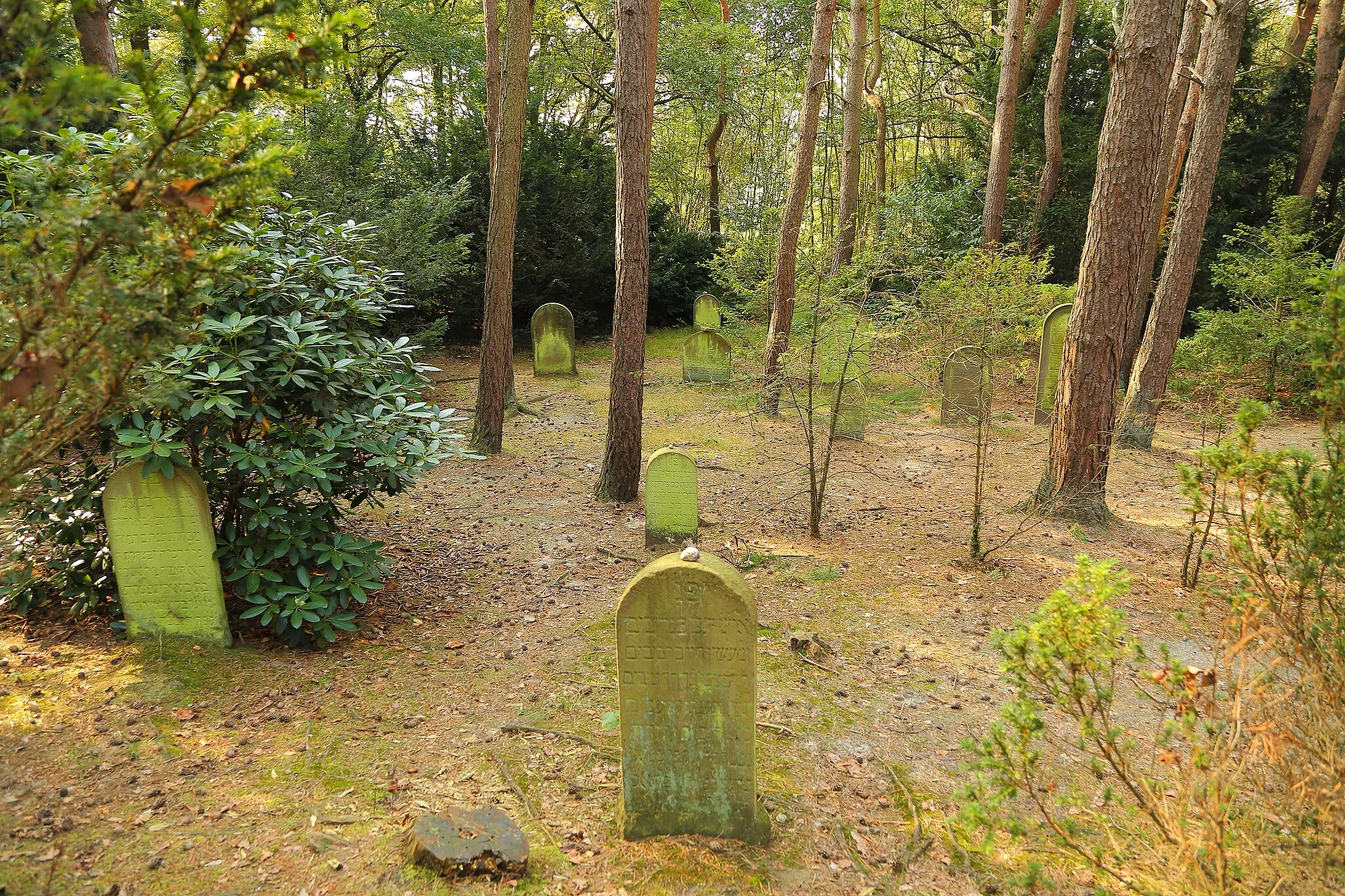 Photo showing: Jewish Cemetery in Westerkappeln, Kreis Steinfurt, North Rhine-Westphalia, Germany.