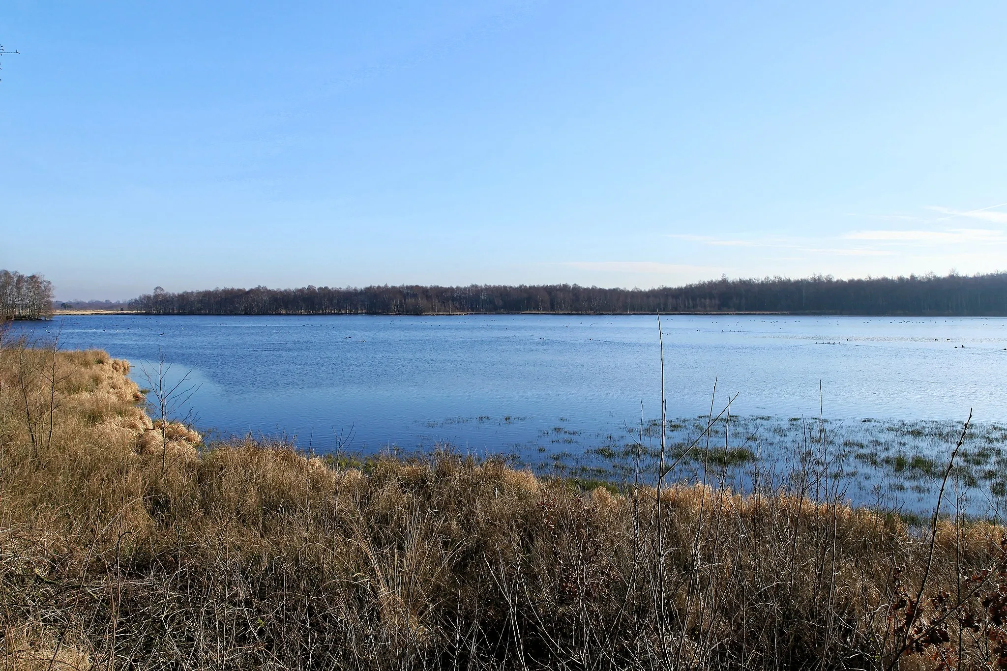 Photo showing: Blick vom Aussichtsturm zum Theikenmeer im NSG Theikenmeer, Lange Stücken in Werlte