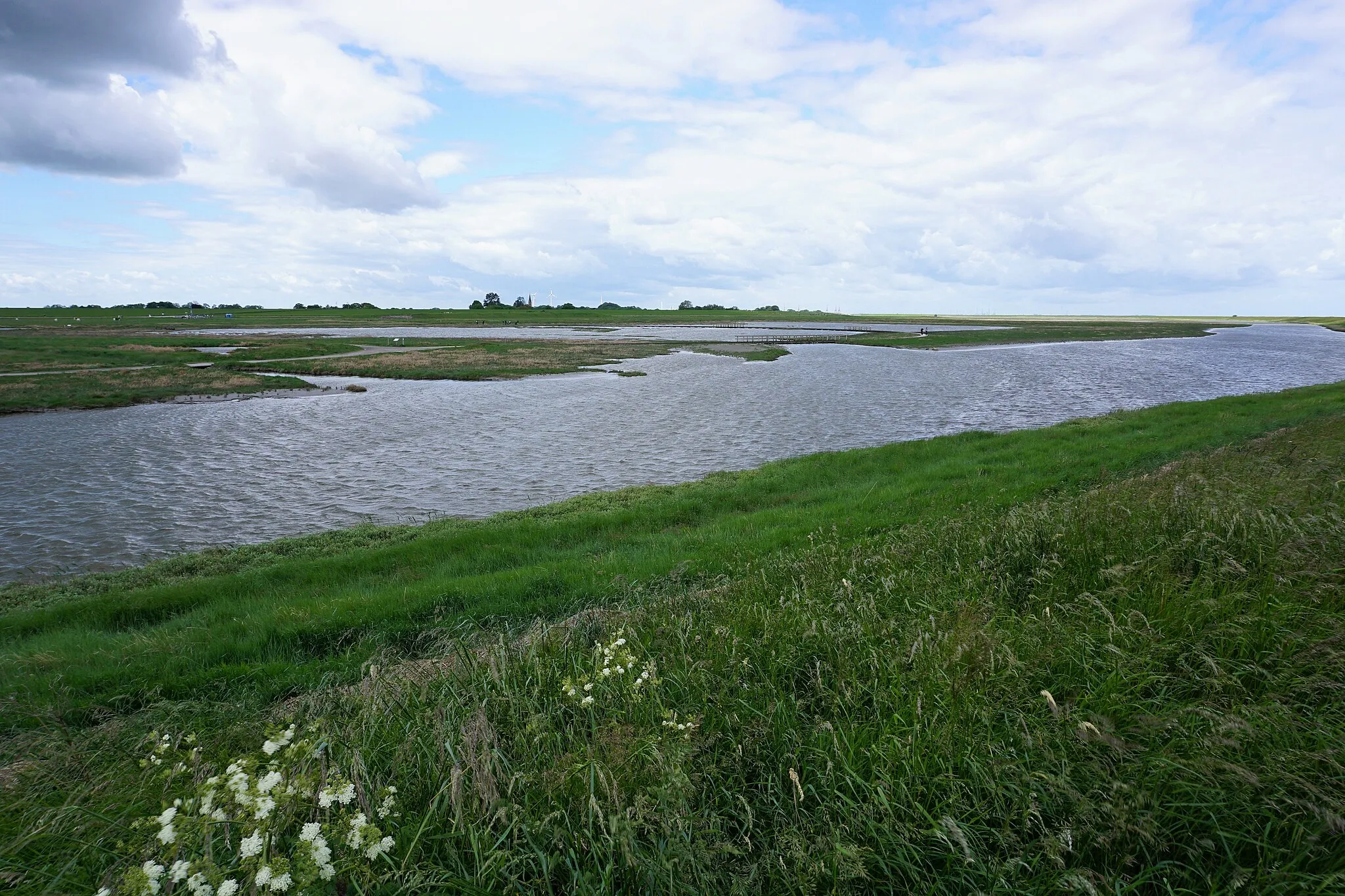 Photo showing: Saltmarsh Langwarder Groden at high tide in May 2022