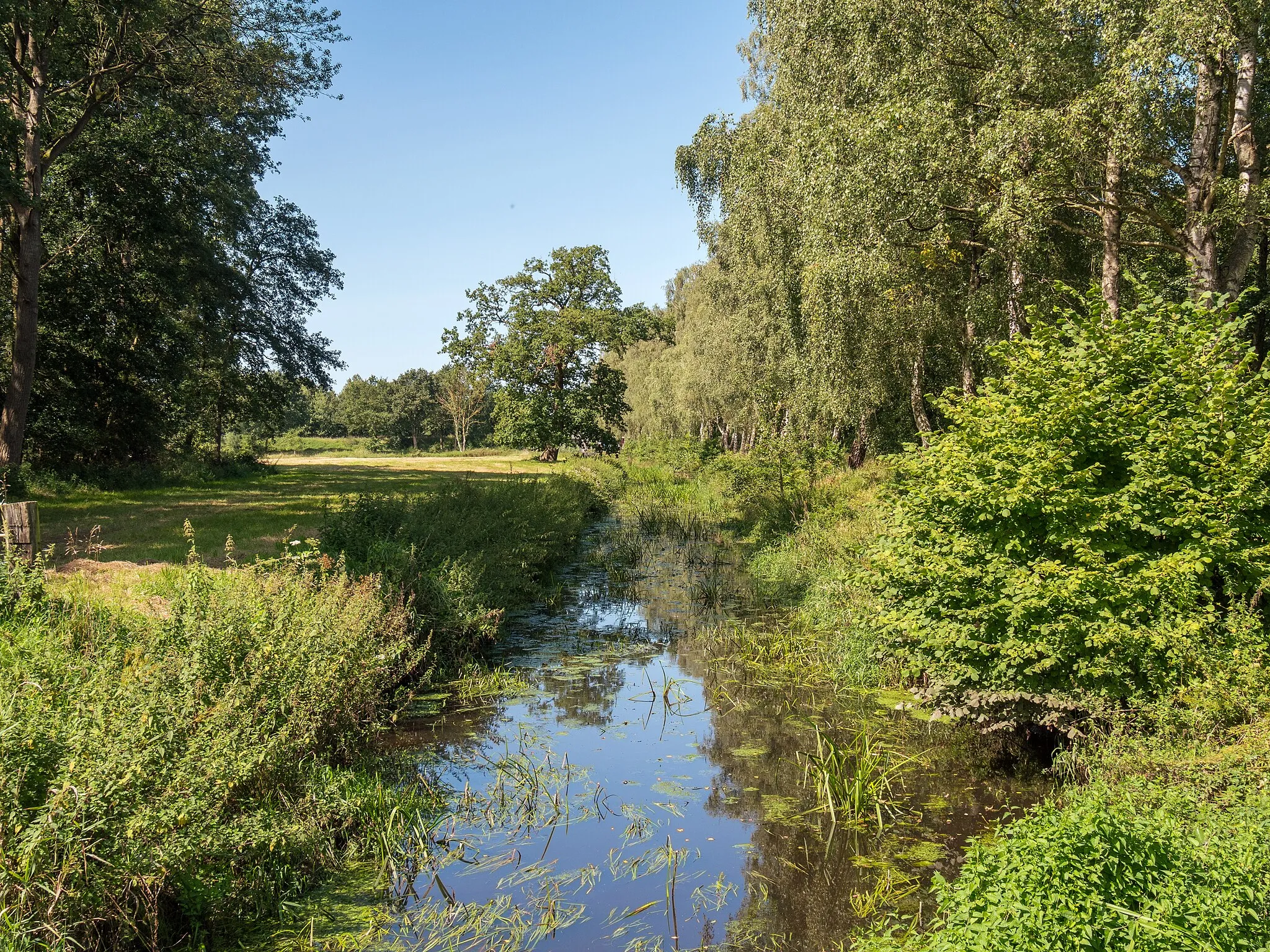 Photo showing: Haaren in Petersfehn südlich des Wold