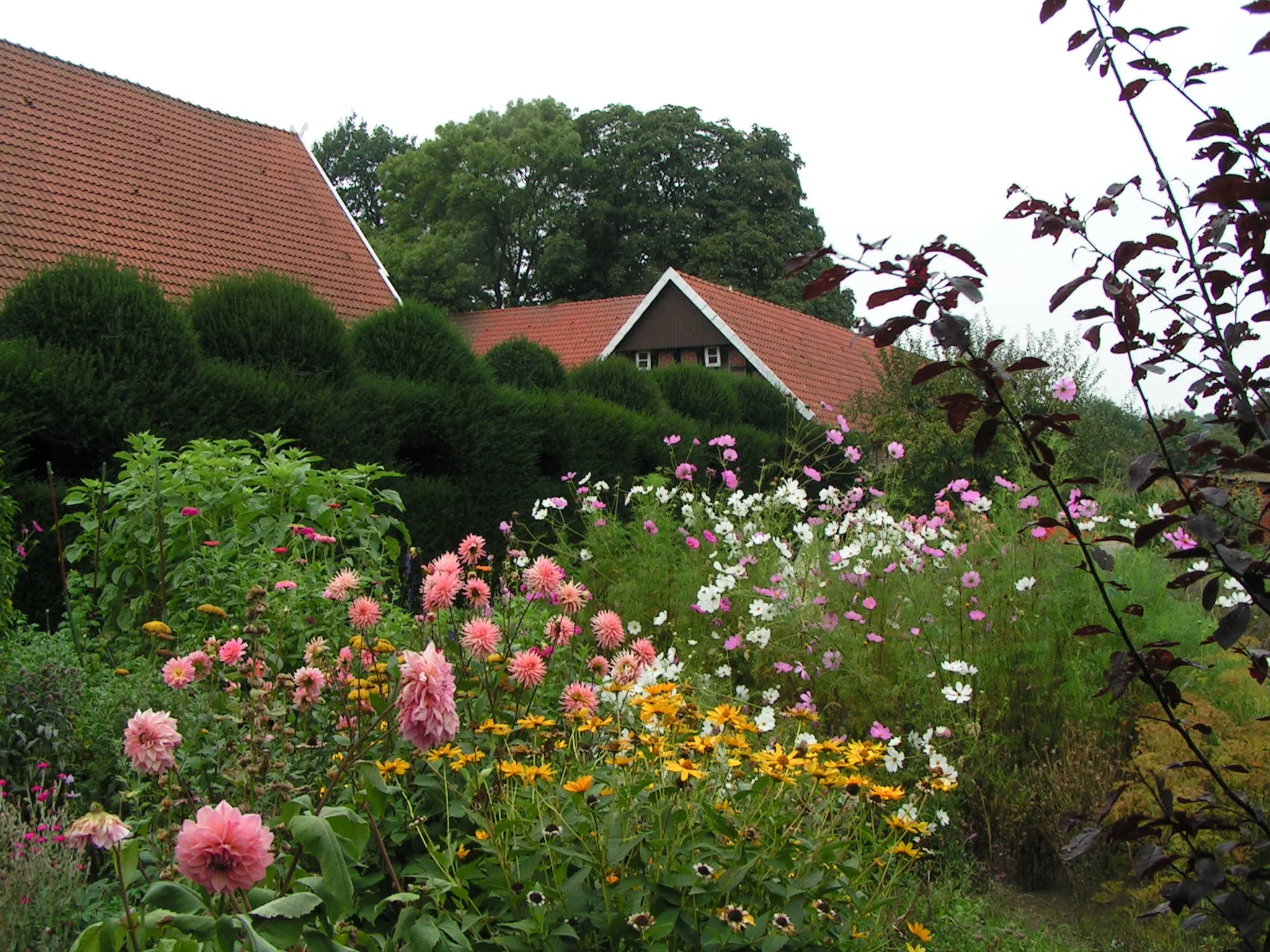 Photo showing: Bauerngarten bei einem Artländer Bauernhaus in Wulften