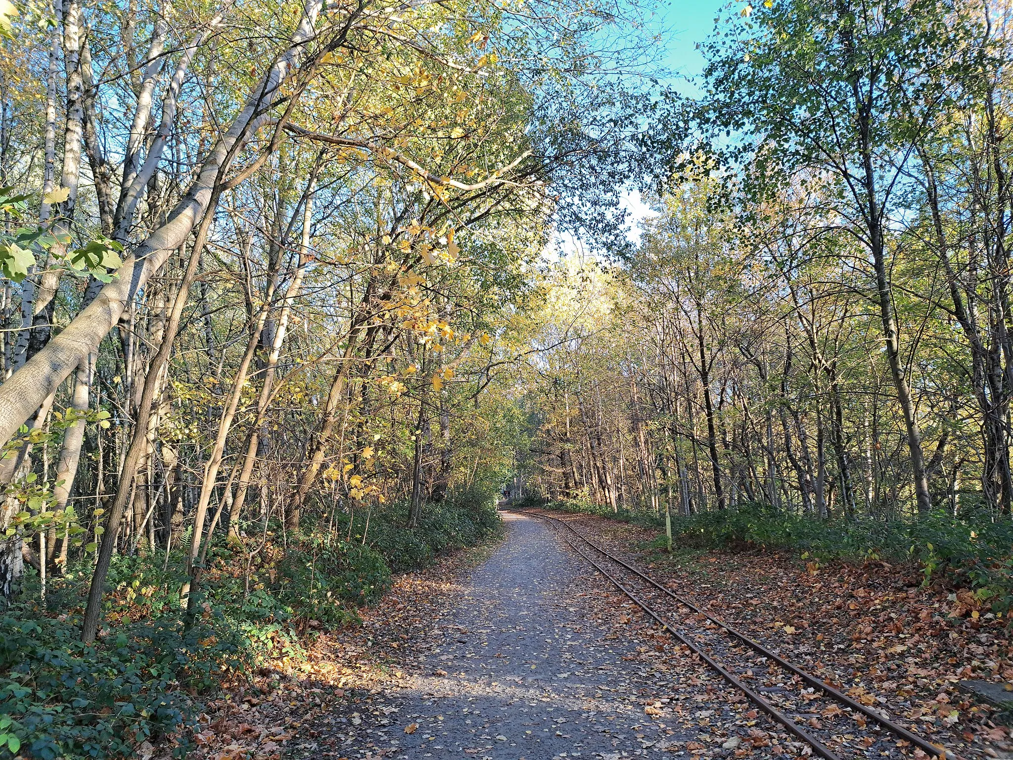 Photo showing: Feldbahngleise am Piesberg