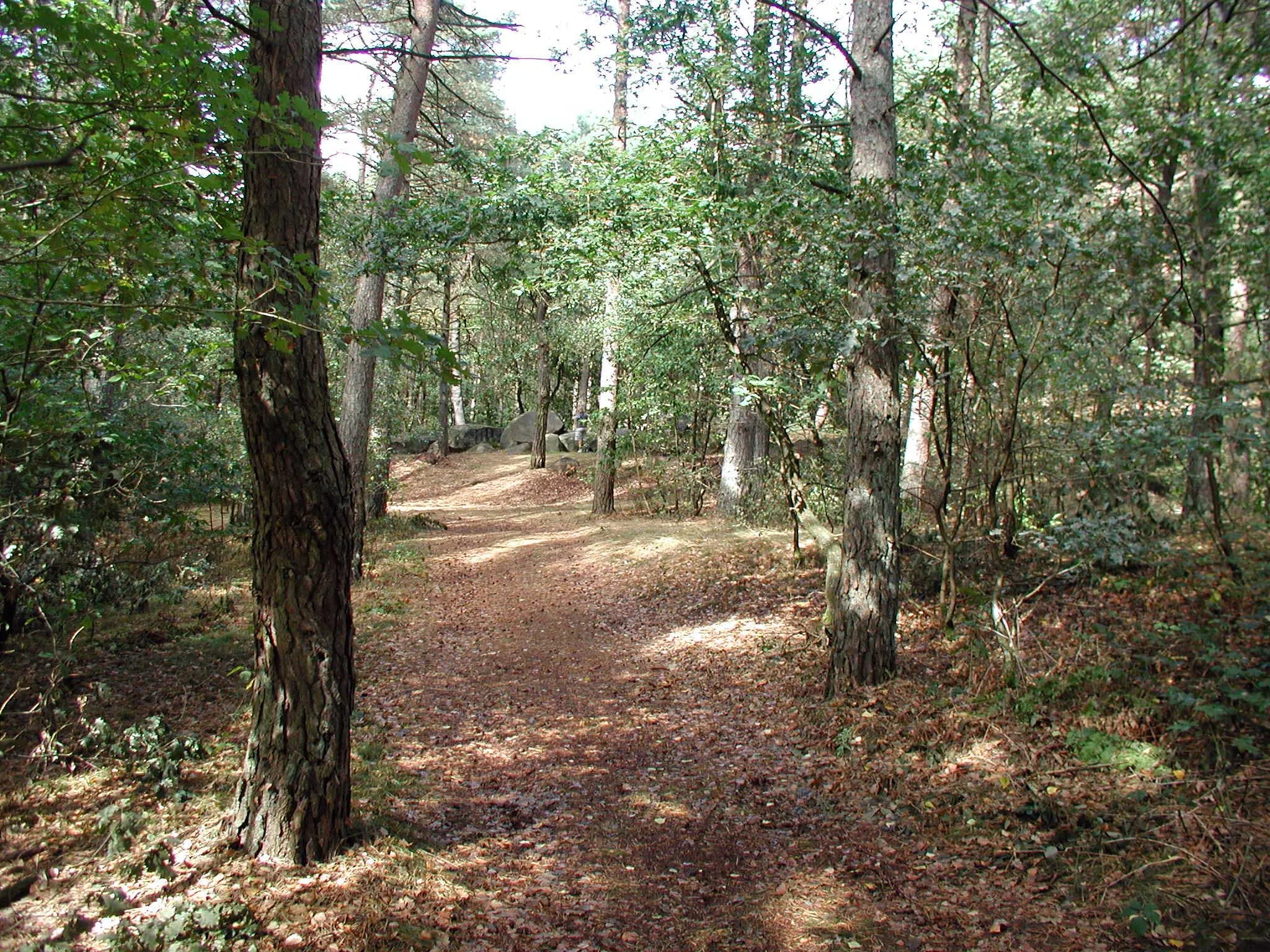 Photo showing: Path to megalithic thomb in Lähden, Lower Saxony, Germany