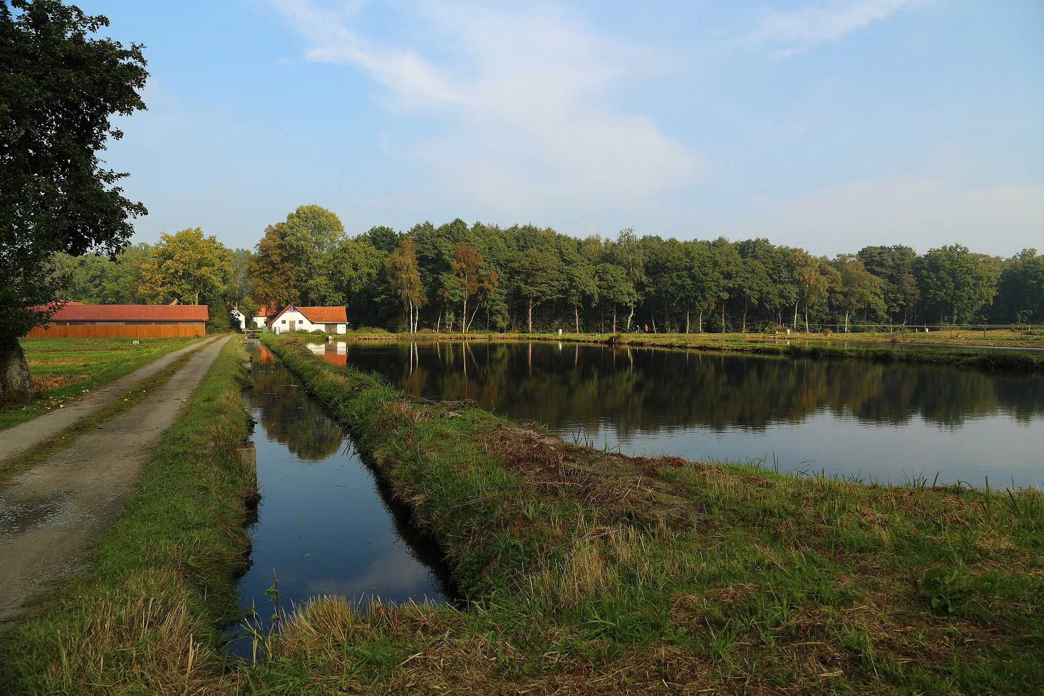Photo showing: One of the Ahlhorn fish ponds (Ahlhorner Fischteiche) near Emstek, Landkreis Cloppenburg, Lower Saxony, Germany.