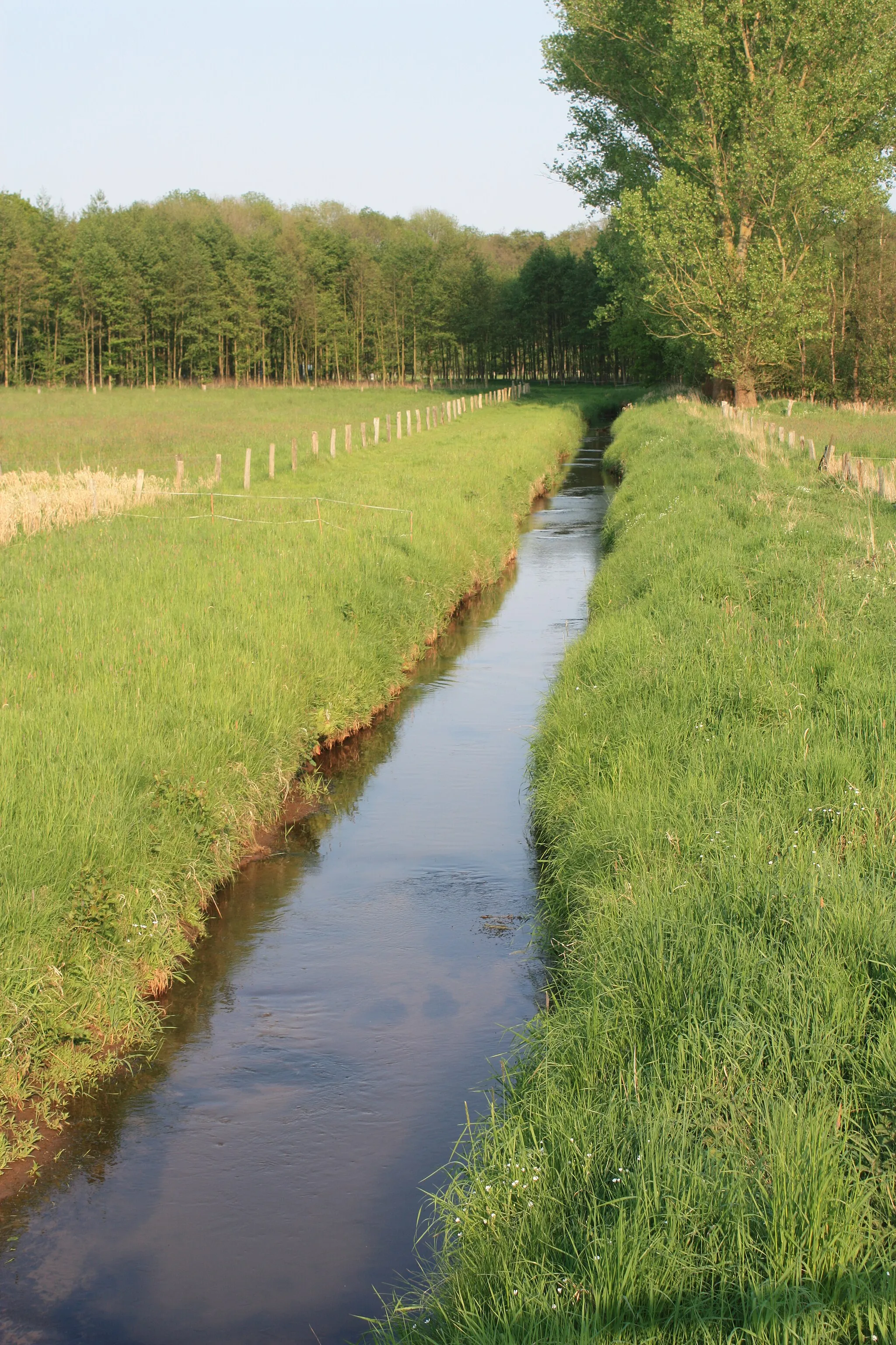 Photo showing: Bassum, Landkreis Diepholz, Niedersachsen, Deutschland; kleiner Fluss: Nienstädter Beeke südlich von Bassum an der Sulinger Landstr.