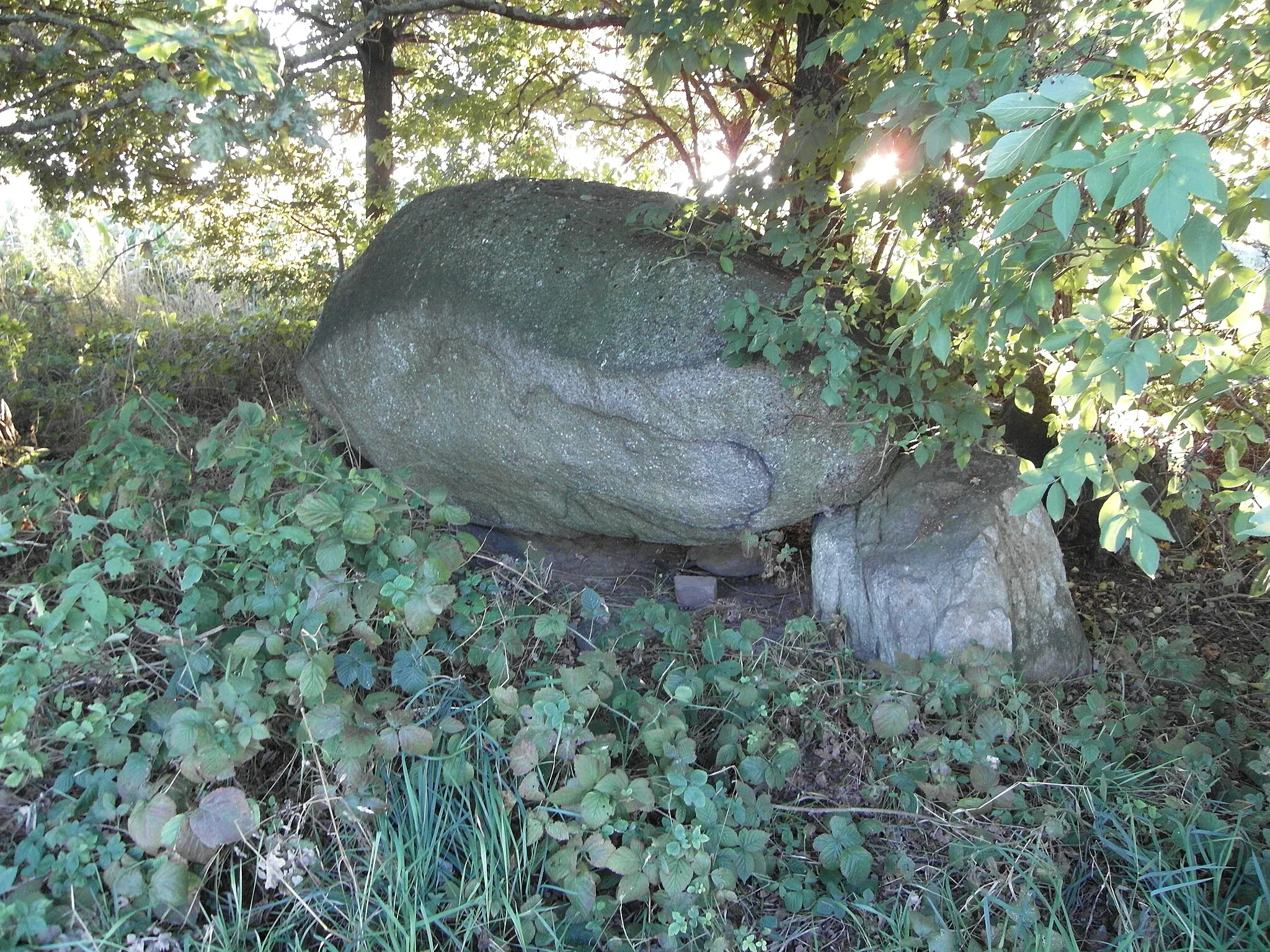 Photo showing: Megalithic tomb "Schwagstorf 2".